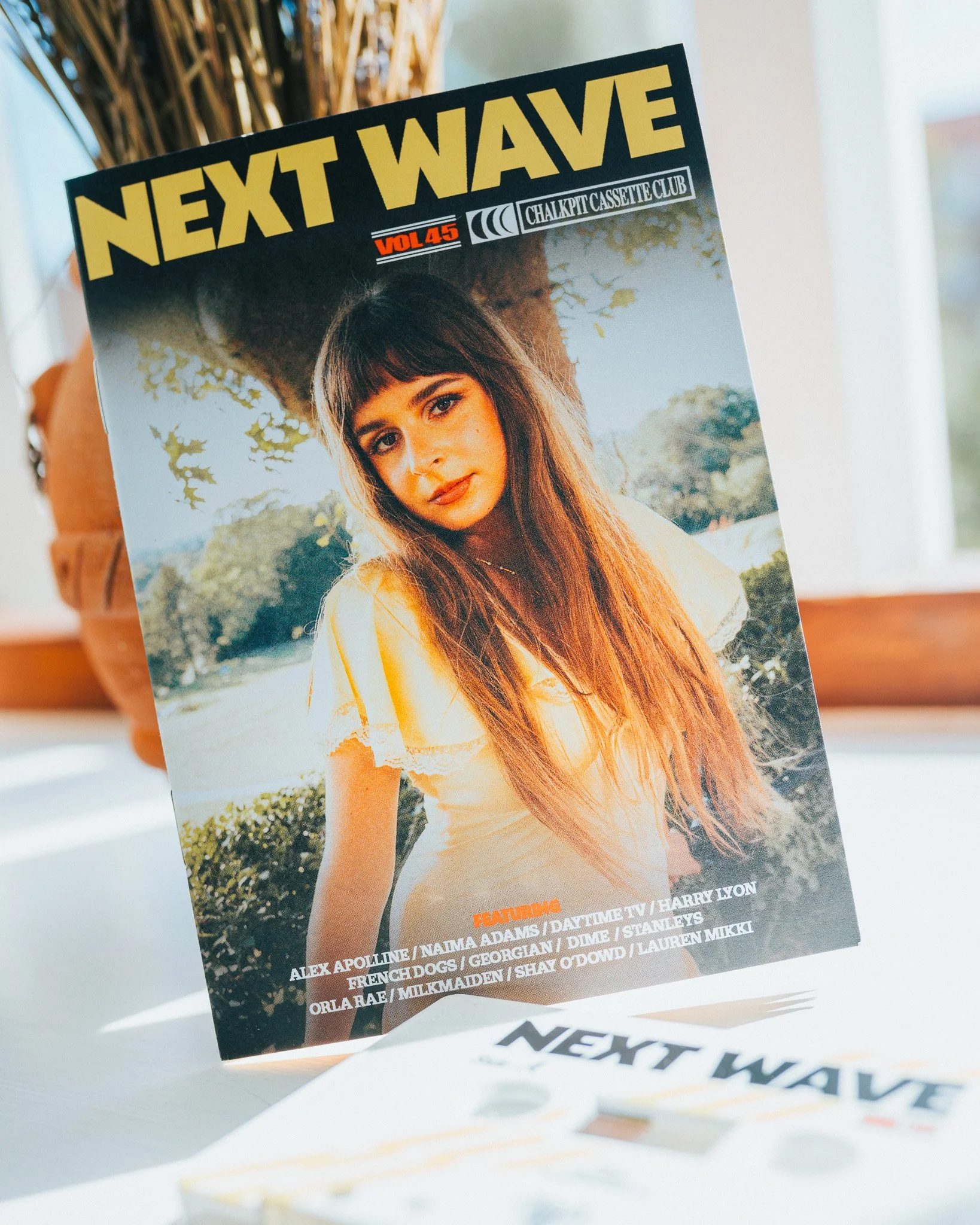Next Wave Volume 45 -3.jpg