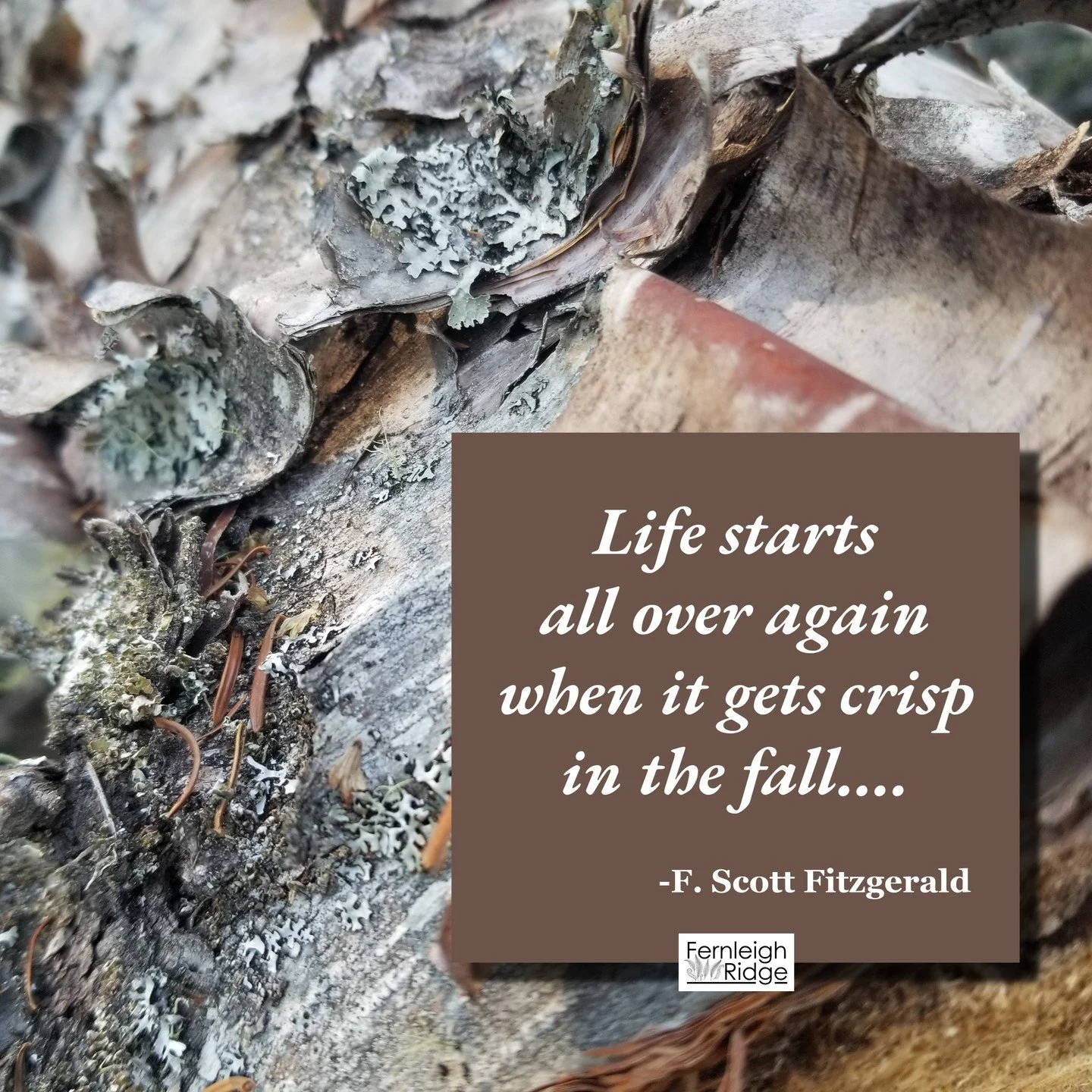 Welcome to the first week of Fall....
#fernleighridge