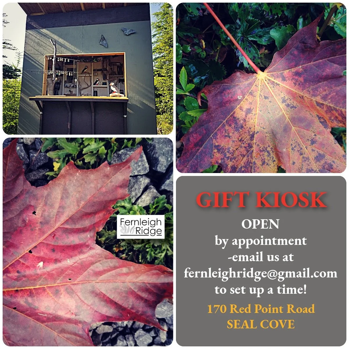 We are several days into Fall but at Fernleigh Ridge, we have decided not to close the KIOSK for the season quite yet! If you are interested in anything we have to offer, please email us at fernleighridge@gmail.com and we will open up the kiosk for y