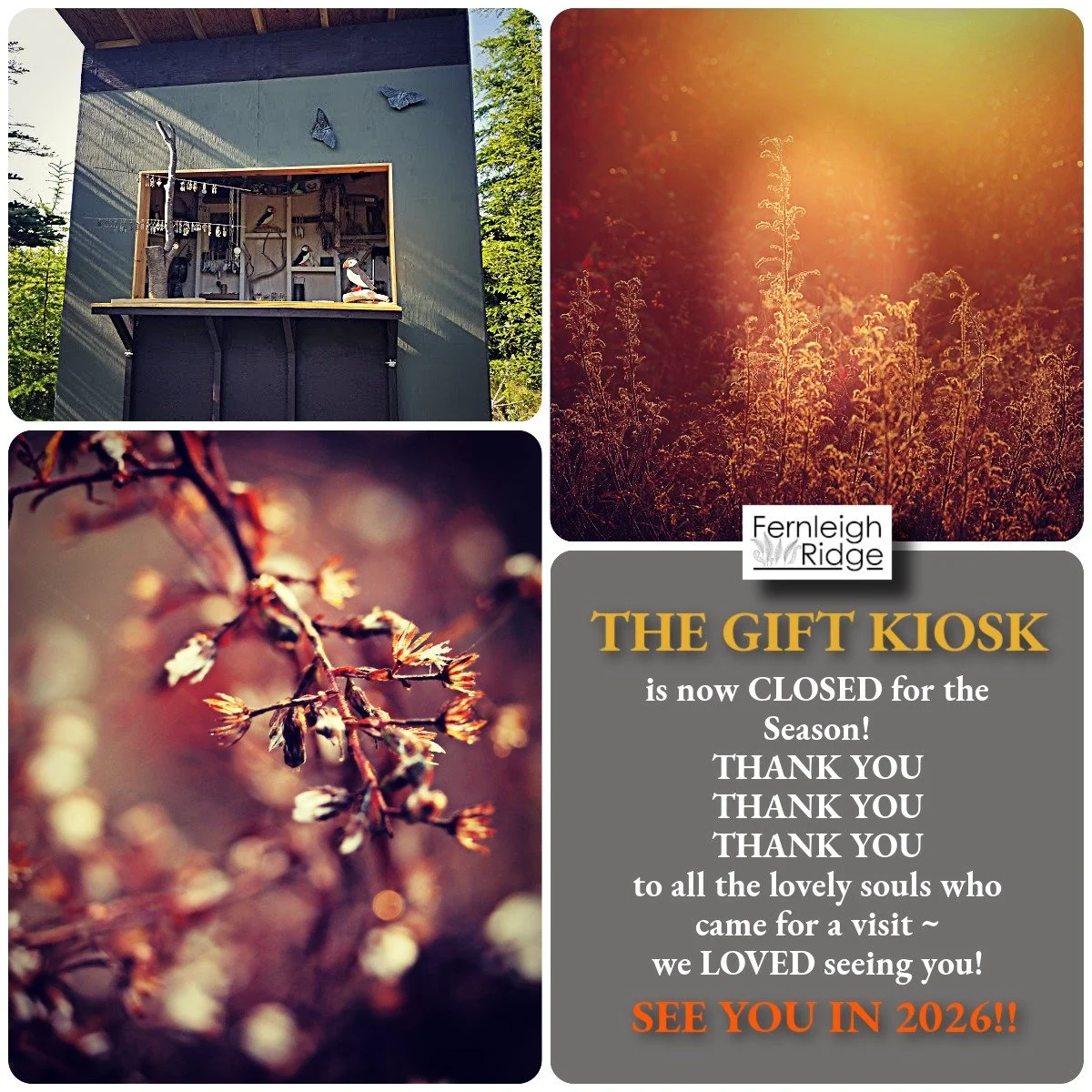 THANK YOU ~ and see You in 2026! Don't forget our products are available in our online shop, at www.fernleighridge.com

#fernleighridge