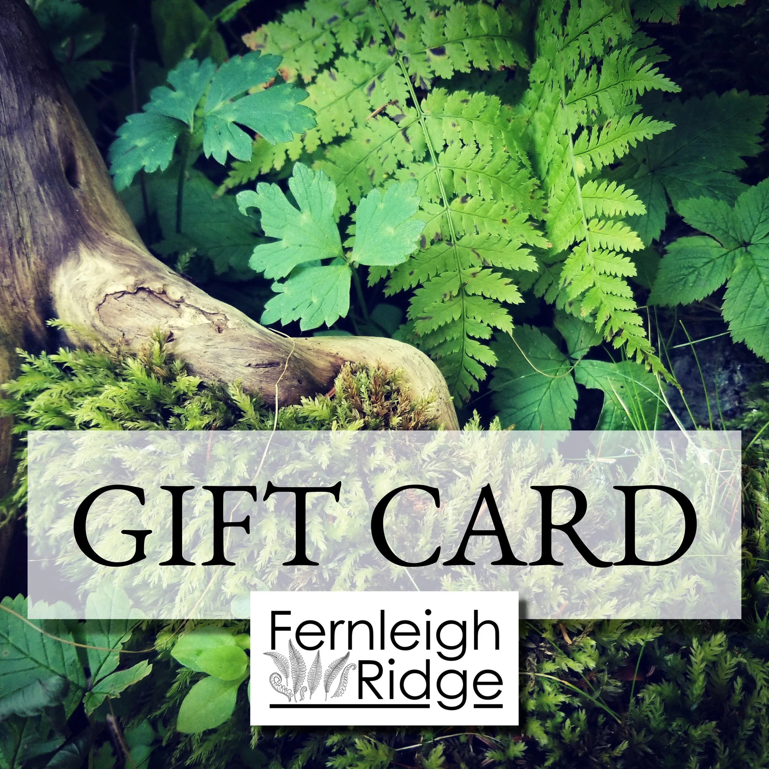 We think every day is an occasion to gift-give but for many, the Holidays, Christmas, Hannukah, are a particularly apt time to think of friends and family, near and far. Like our creations? Wish you could gift something from our store to someone you 