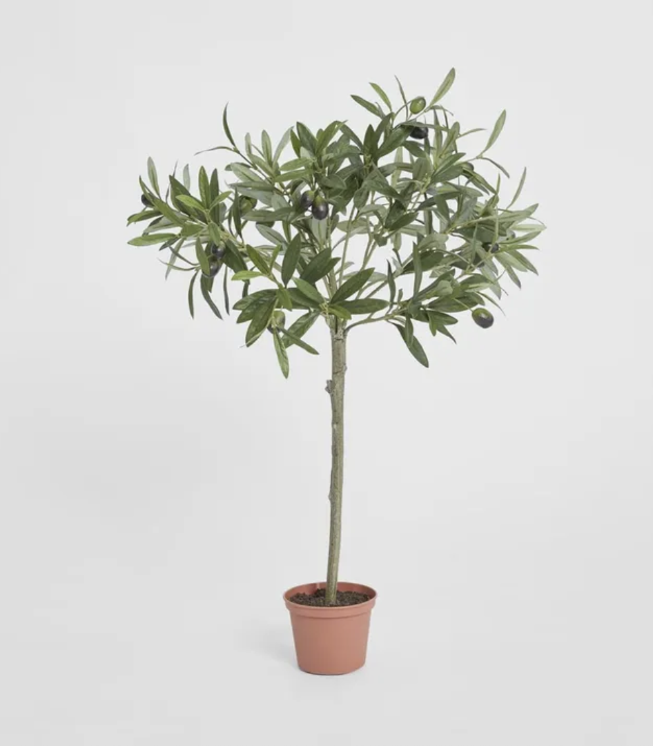 Screenshot 2026-04-23 at 1.52.27 pm.png