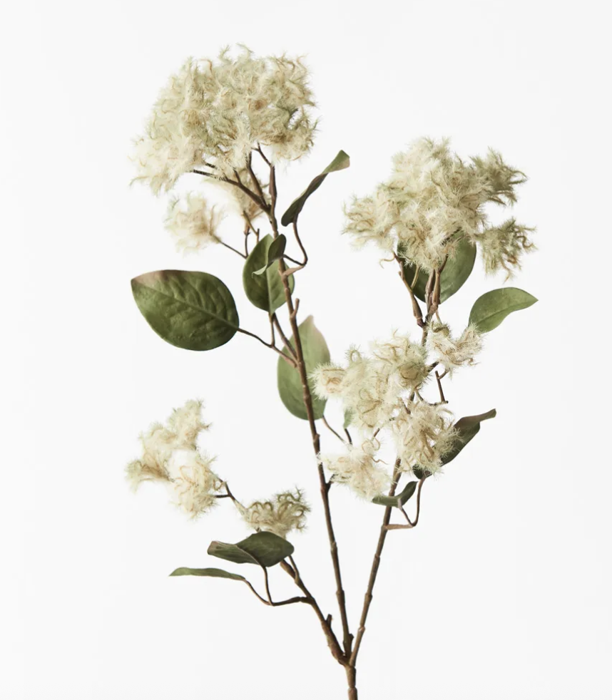 Screenshot 2026-01-11 at 12.48.51 pm.png