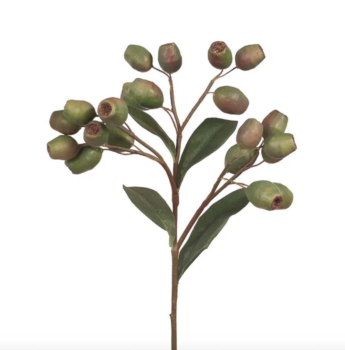 Screenshot 2026-01-11 at 12.40.41 pm.png