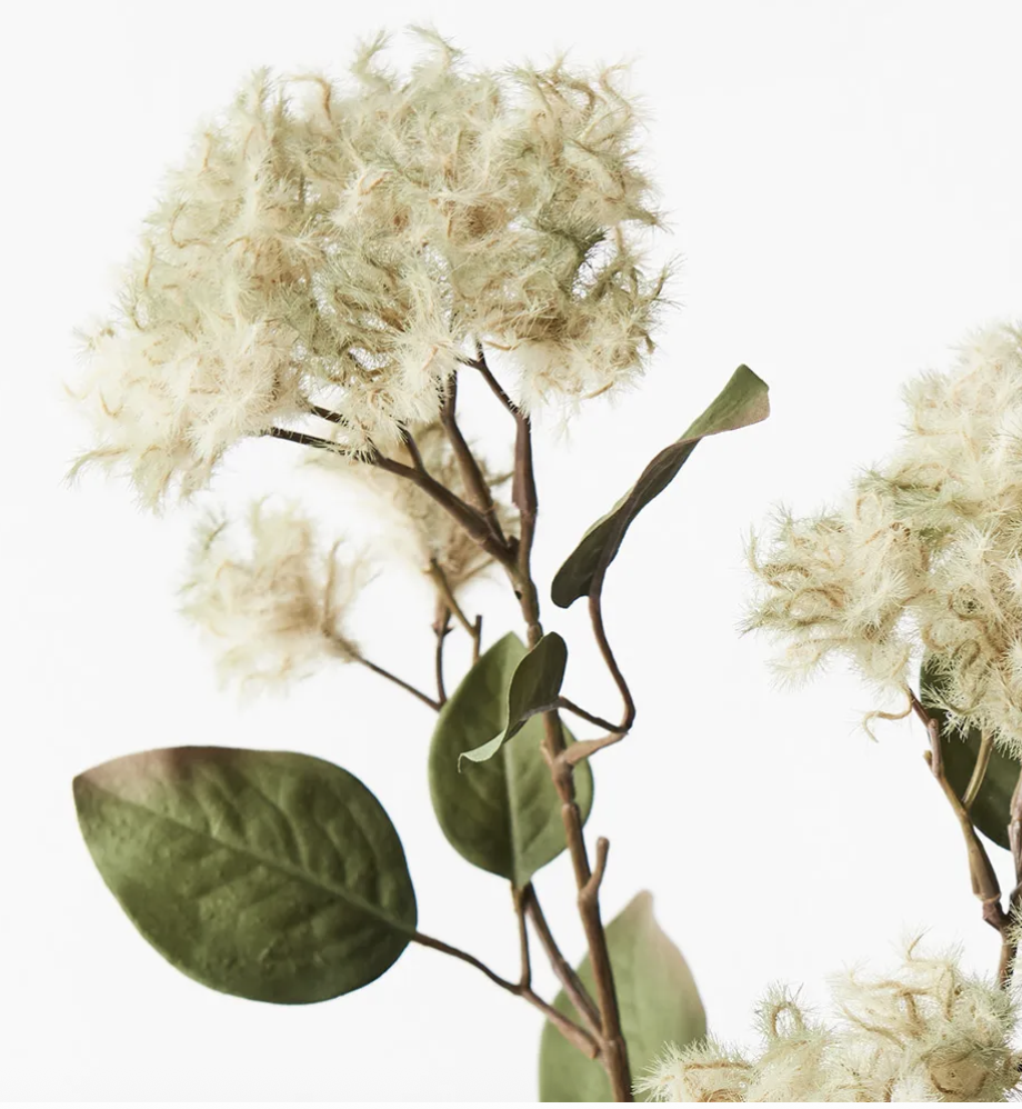 Screenshot 2026-01-11 at 12.49.02 pm.png