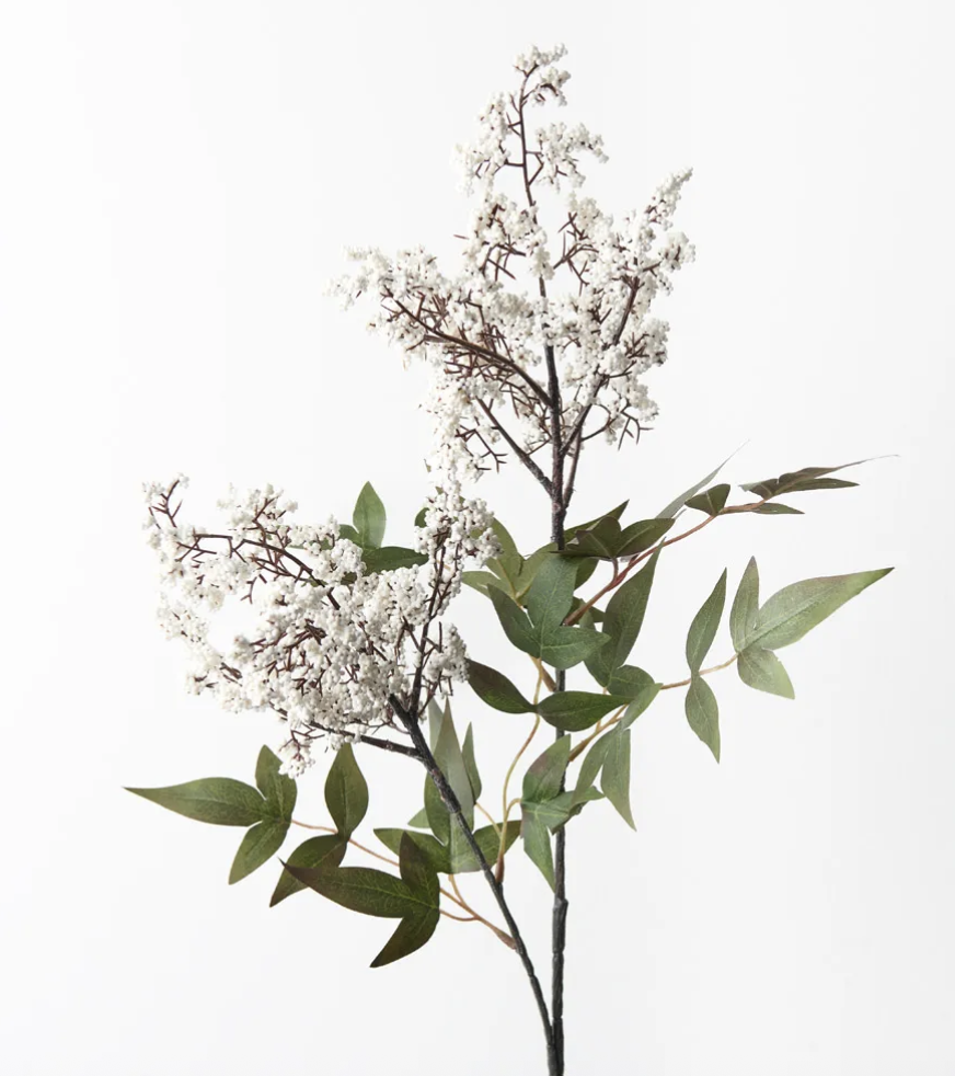 Screenshot 2026-01-11 at 12.53.44 pm.png