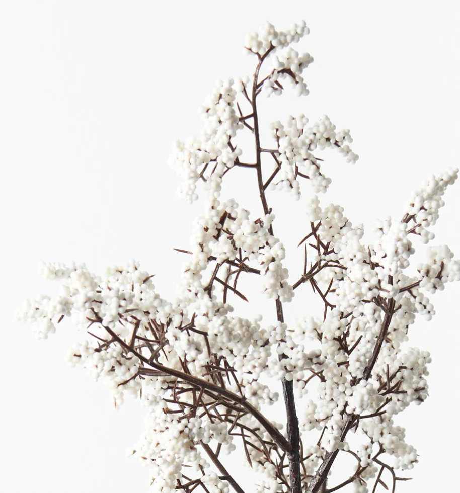 Screenshot 2026-01-11 at 12.53.55 pm.png