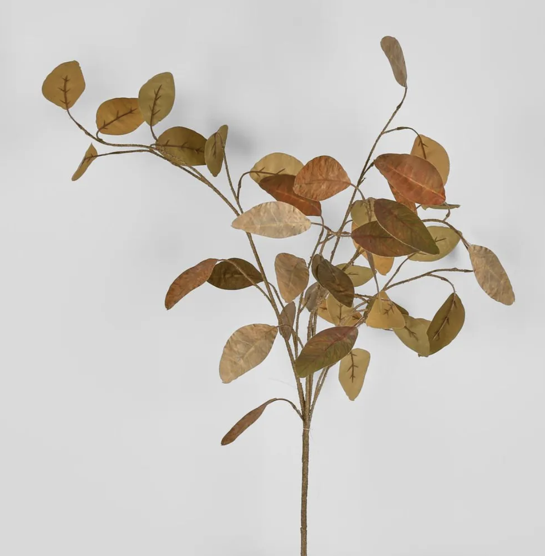 Screenshot 2026-04-23 at 1.48.26 pm.png