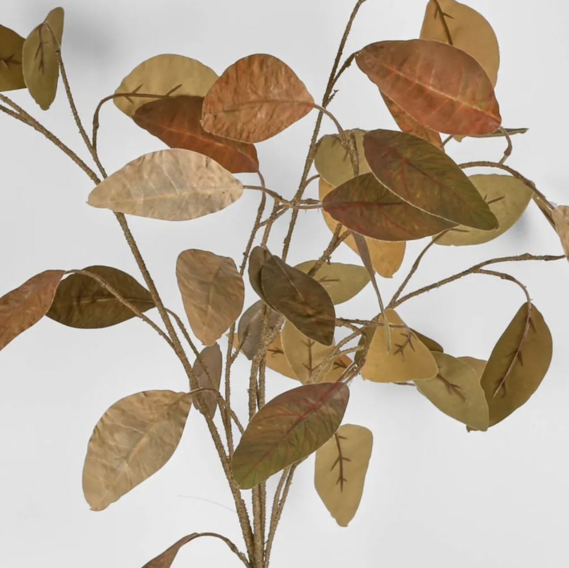 Screenshot 2026-04-23 at 1.48.38 pm.png