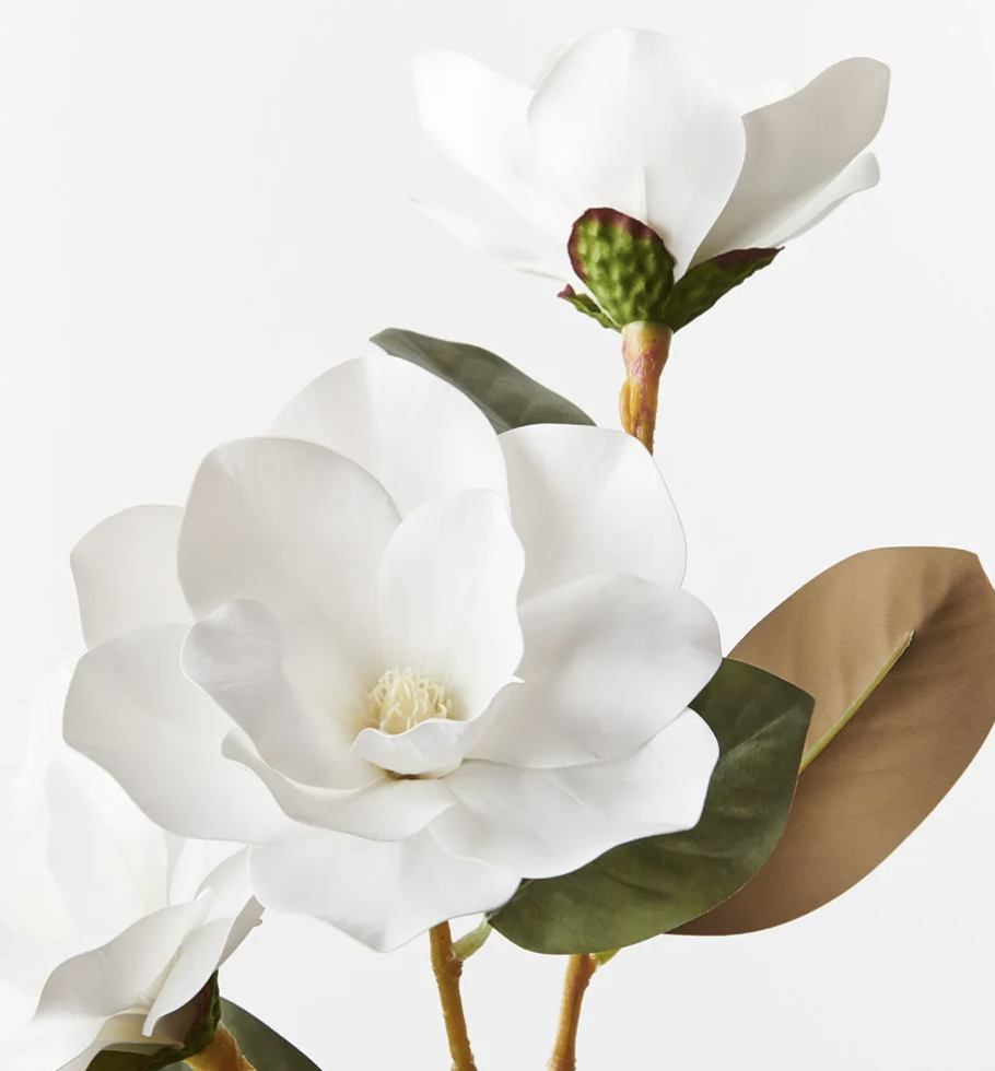 Screenshot 2026-01-11 at 12.56.54 pm.png