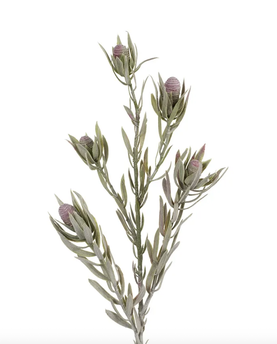 Screenshot 2026-01-11 at 12.45.22 pm.png