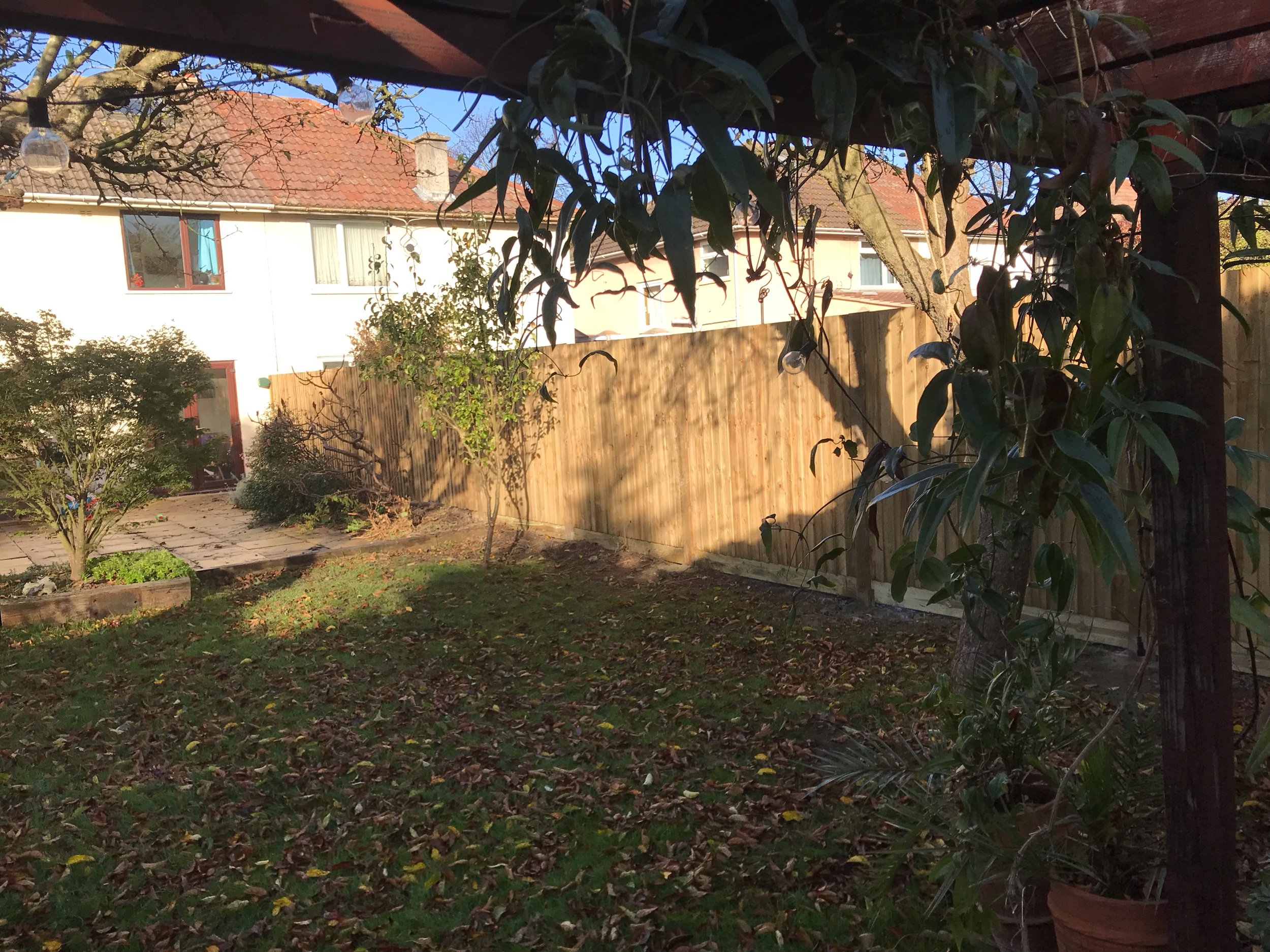 IMG_7049.jpeg