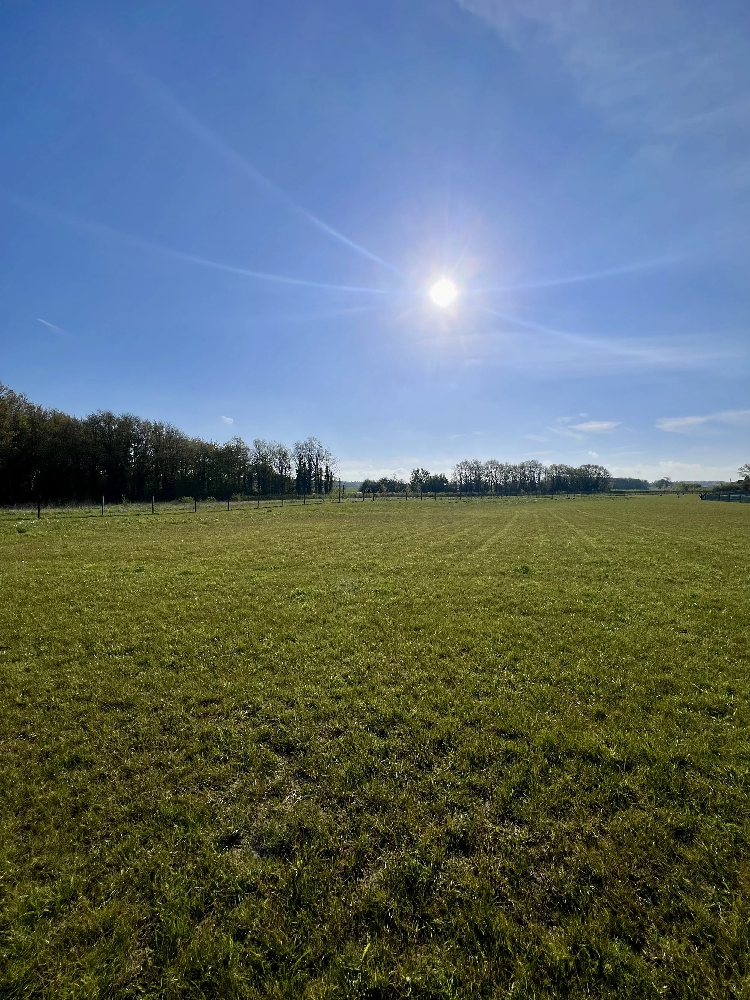 Our Paddocks — Top Dog Paddocks