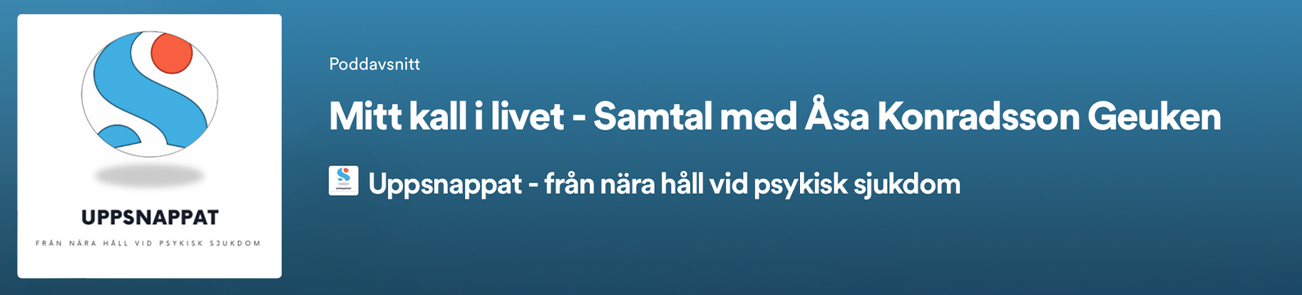 Podcast – Uppsnappat 2023