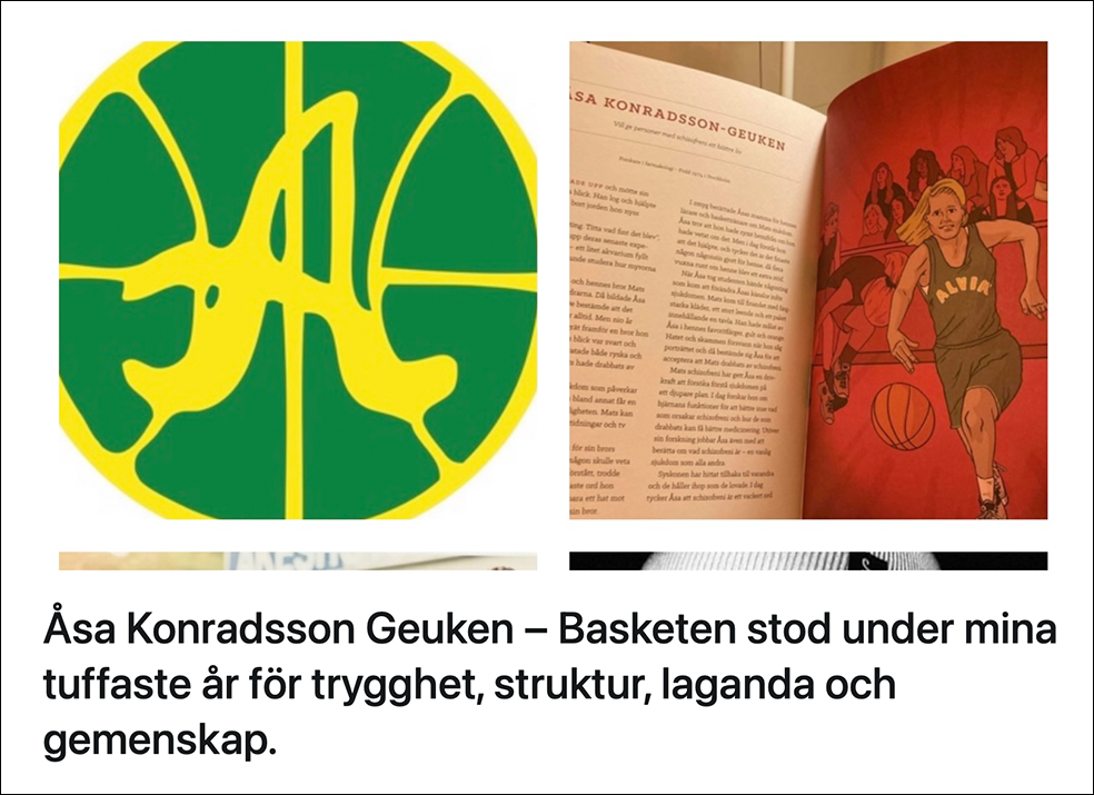 Intervju – Alvikbasket.nu 2021