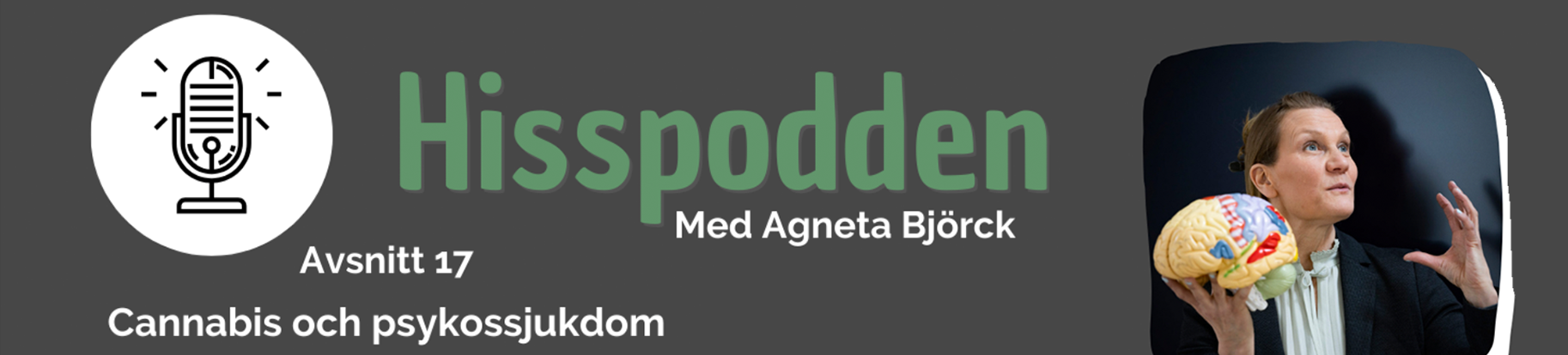 Podcast – Hisspodden 2023