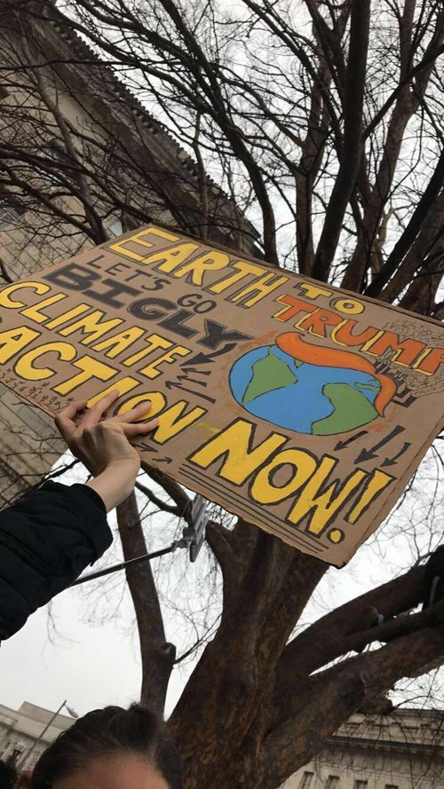 image-asset (7).jpeg