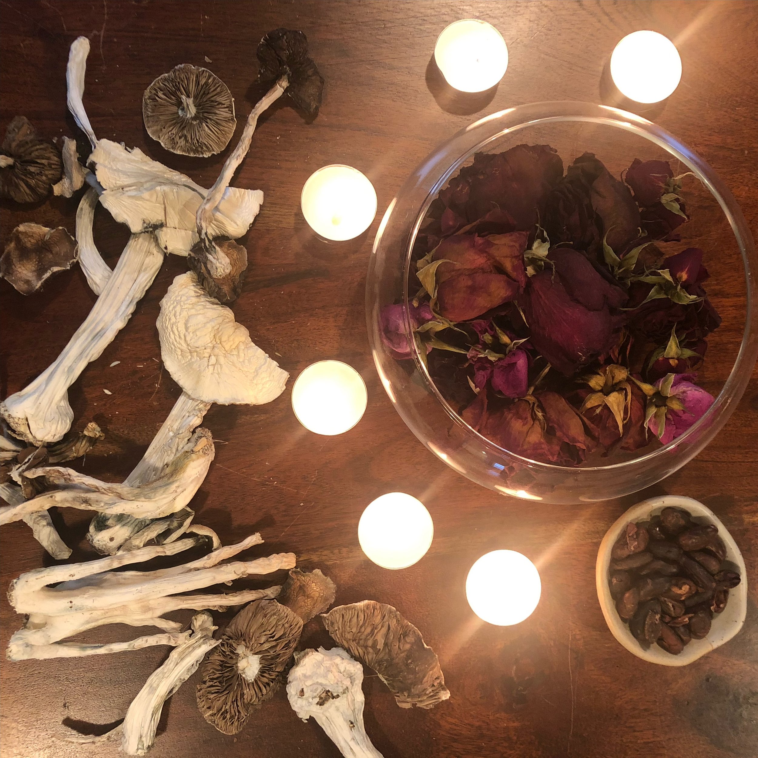 Plant Medicine Ceremony