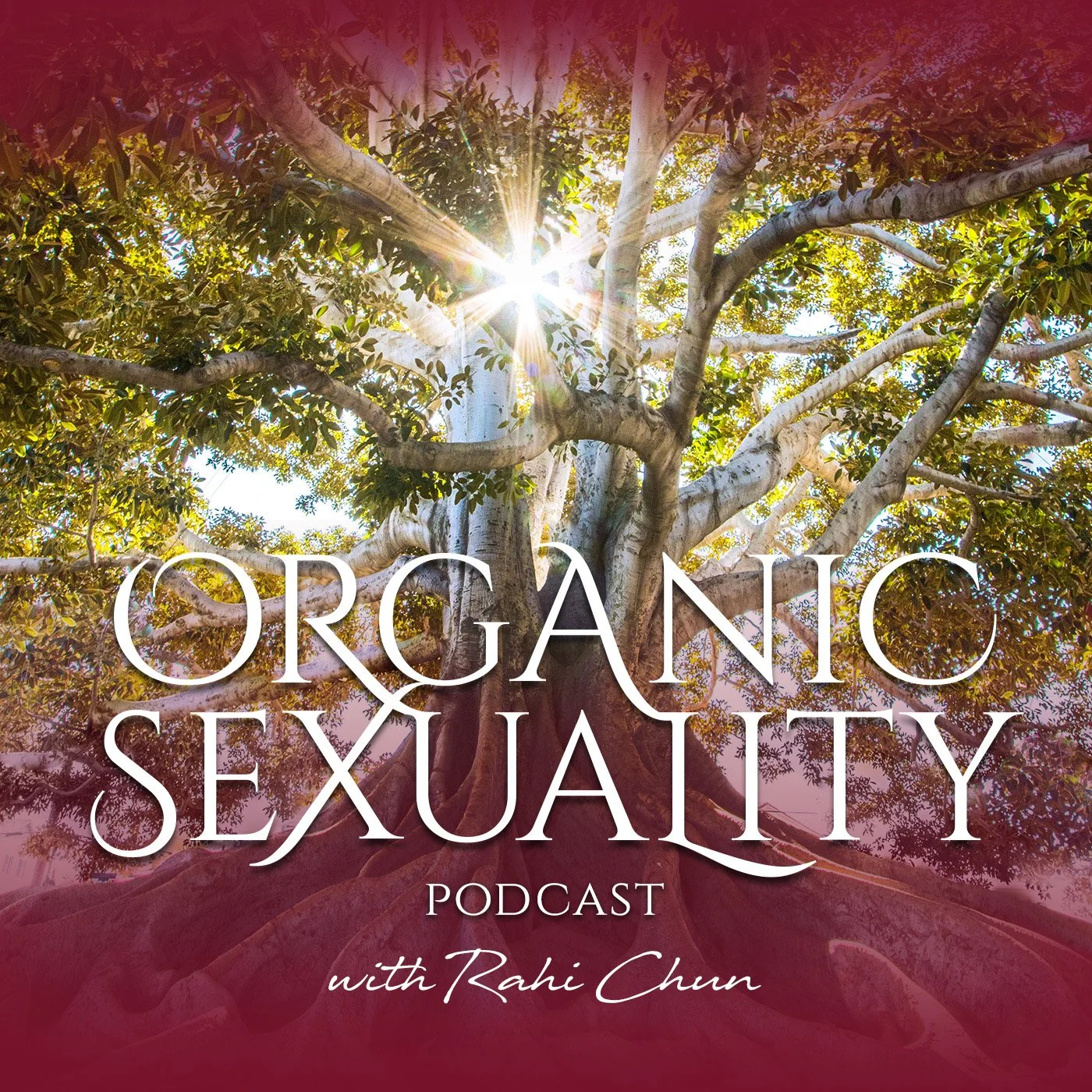 Extended Lovemaking Principles and Practices