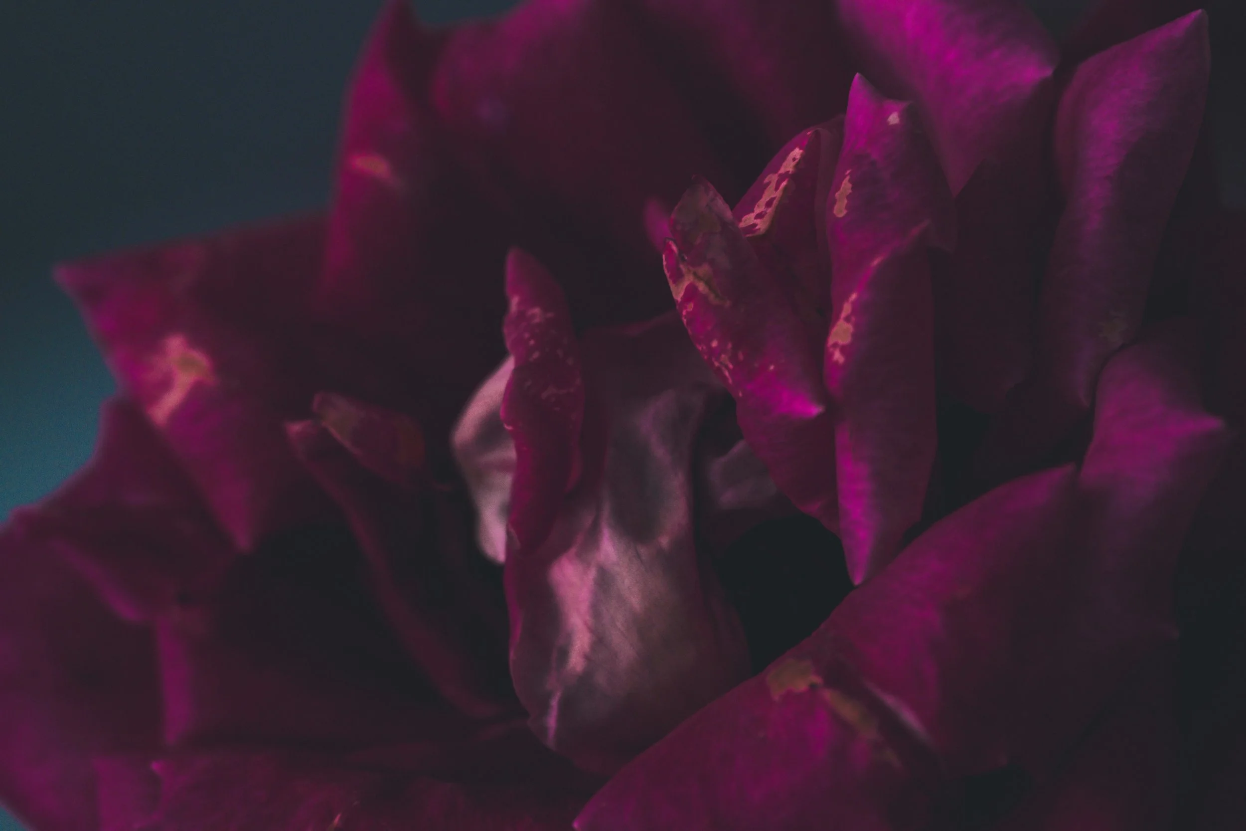 Men's Sexual Healing: What Happens in a Somatic Healing Session