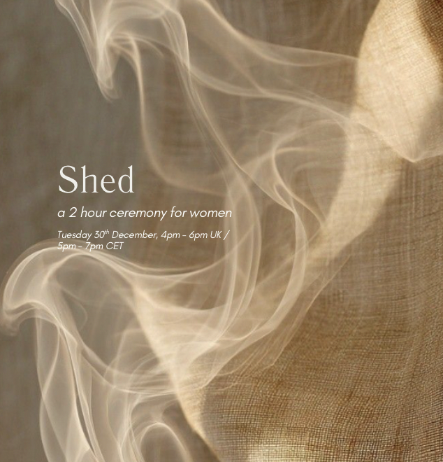 Screenshot 2025-12-10 at 12.49.58.png