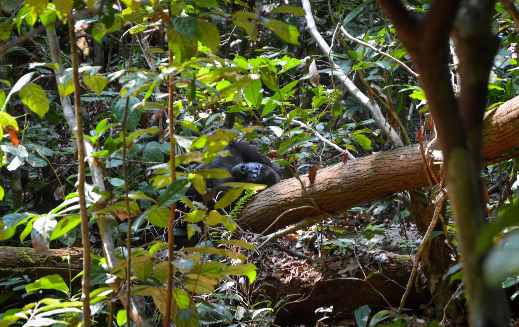 DSC_0206.jpg