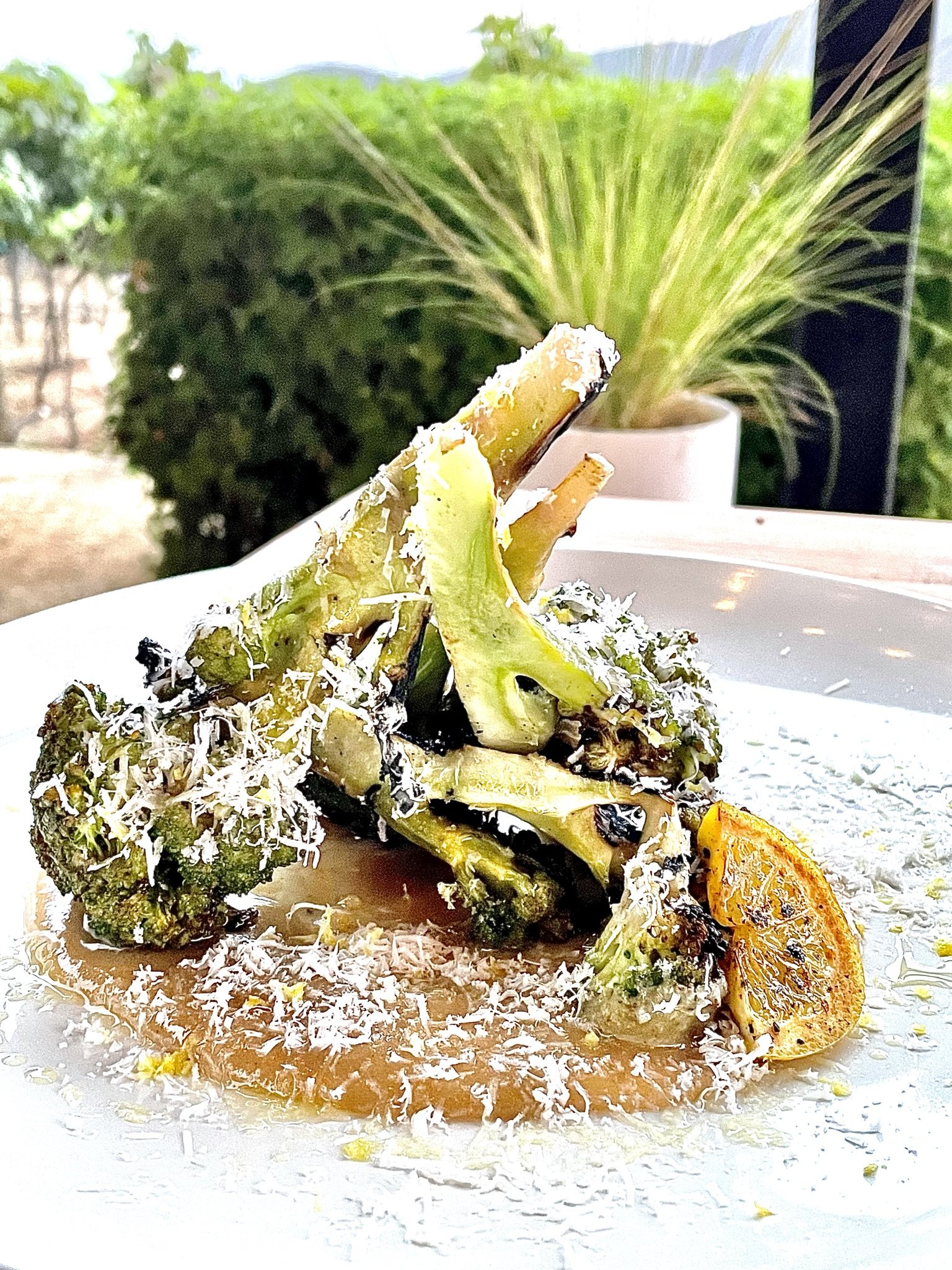Roasted Broccoli &amp; Tahini