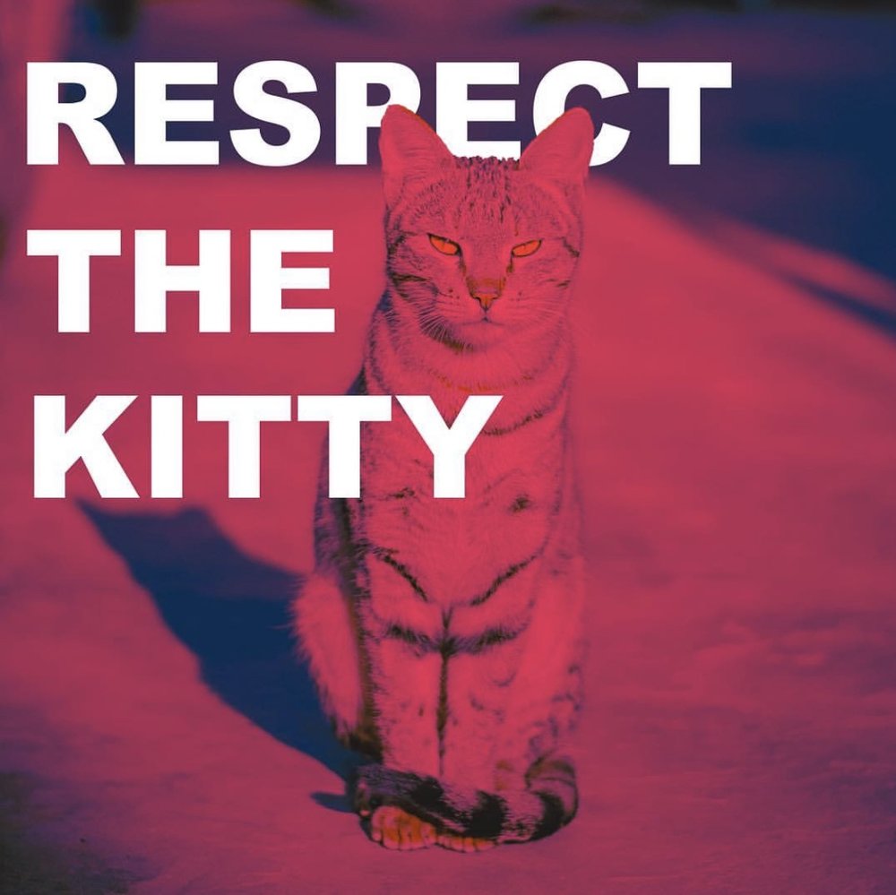respect-the-kitty.jpg