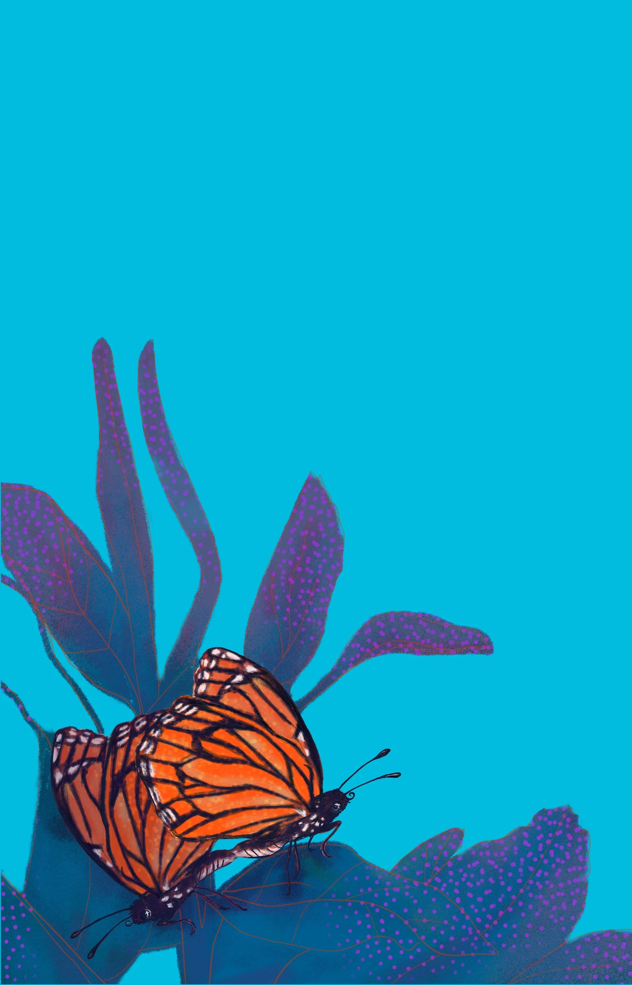 Butterflies F*ck, 2021