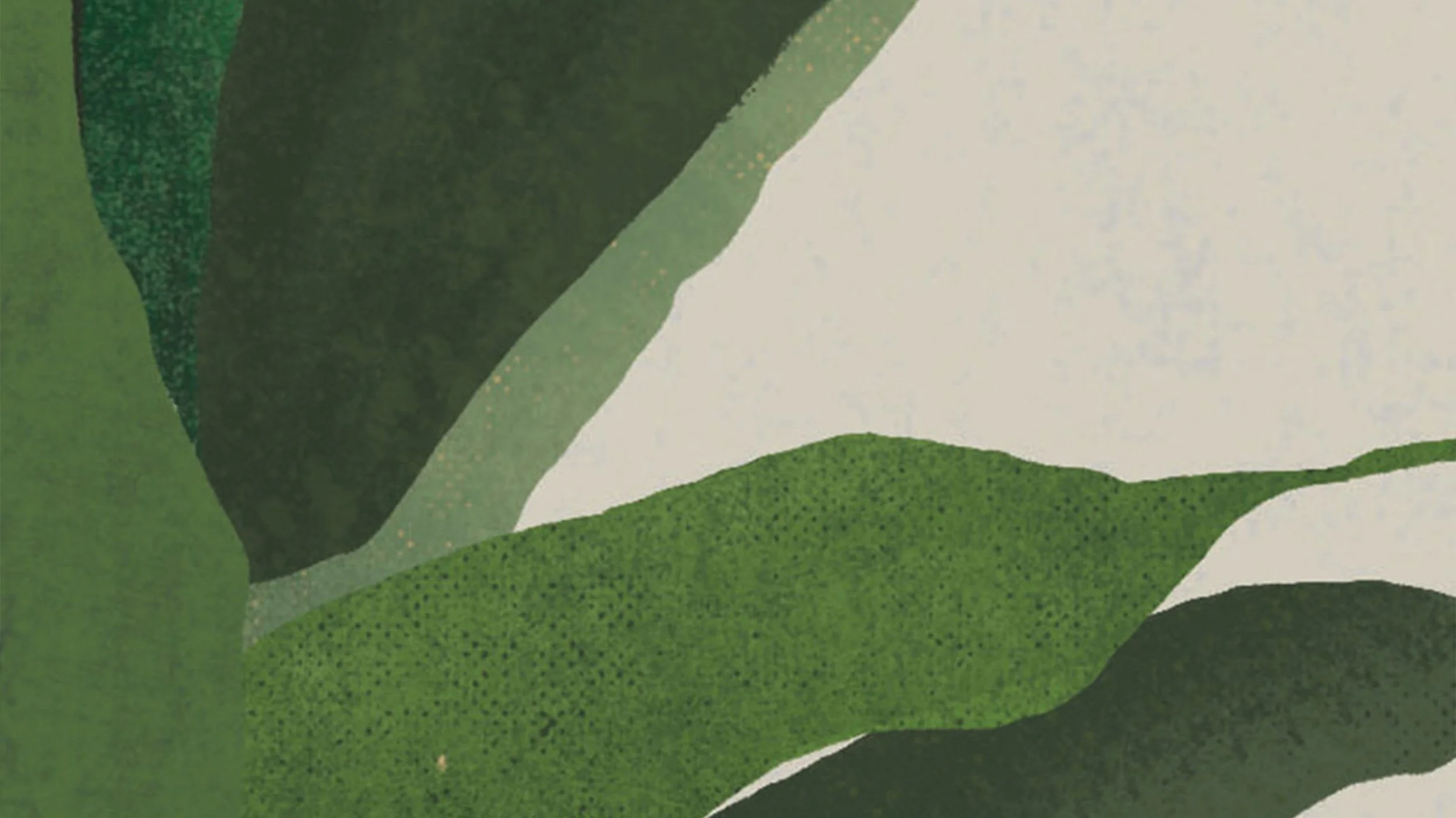 Digitally illustrated book cover design. George Orwell, Keep the Aspidistra Flying. Rich C Studio. Graphic Design Studio, Frome.