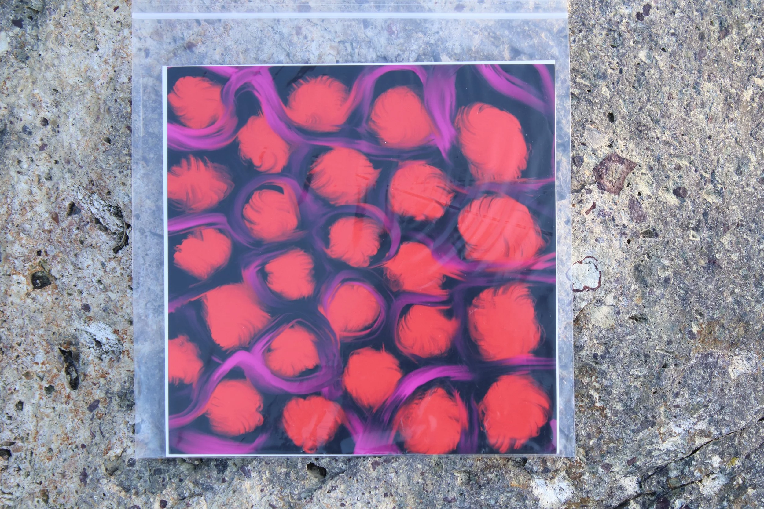 Roses in Violet Ribbons