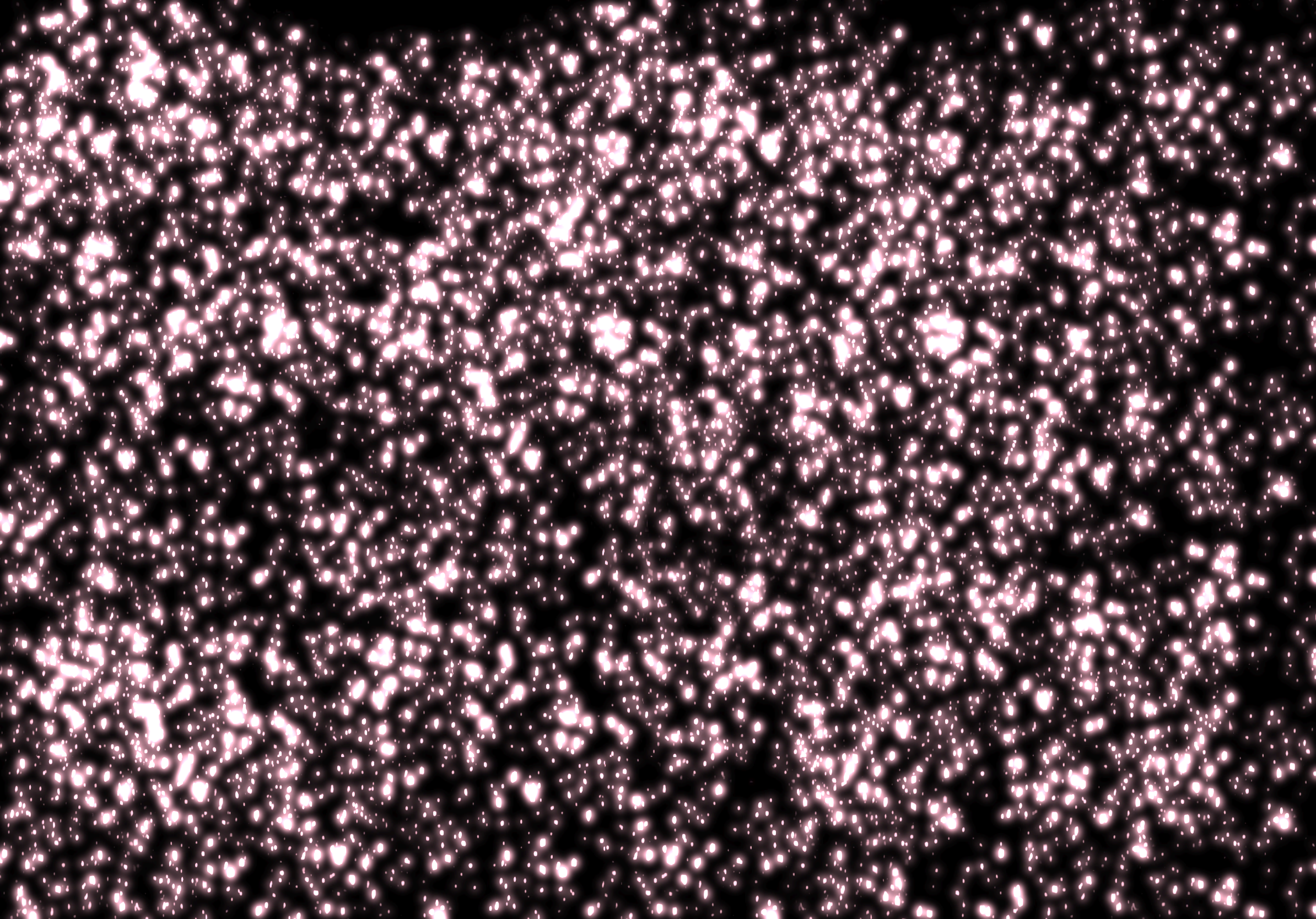 Untitled_Artwork 205.png