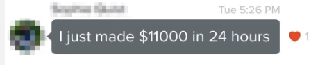 Screenshot of a chat message stating, "I just made $11000 in 24 hours"