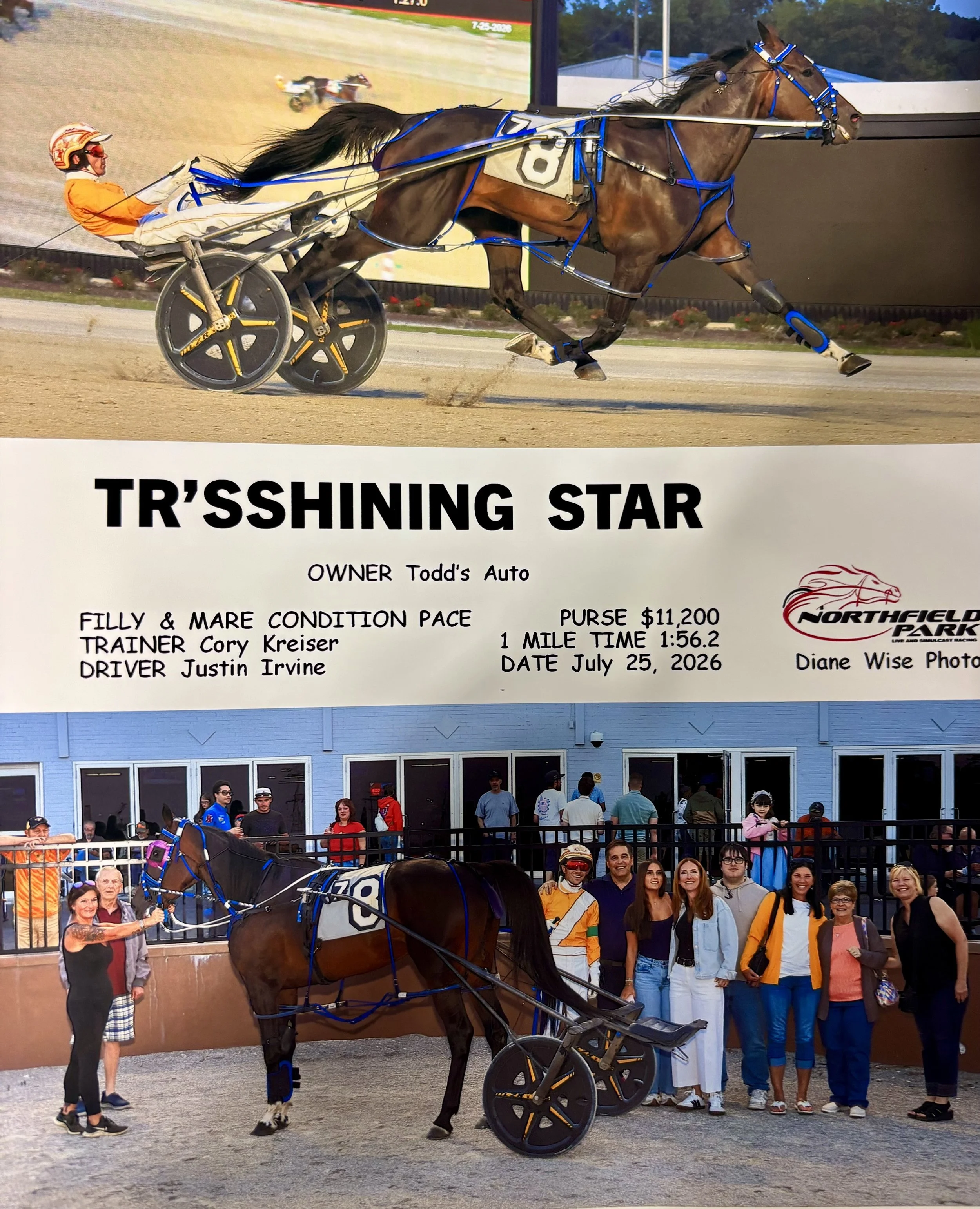 From Harness Racing to Fractional CFO: Why Pace Matters as Much as the Finish Line