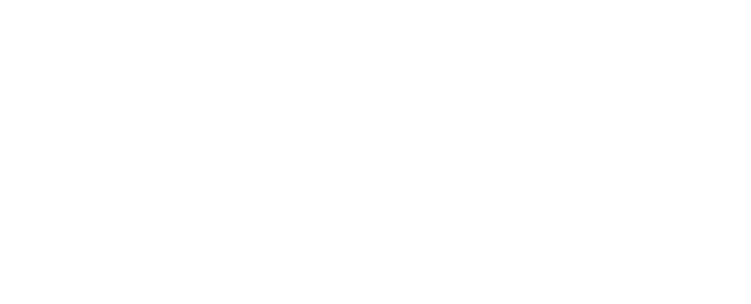 NAVIGATE CFO SERVICES