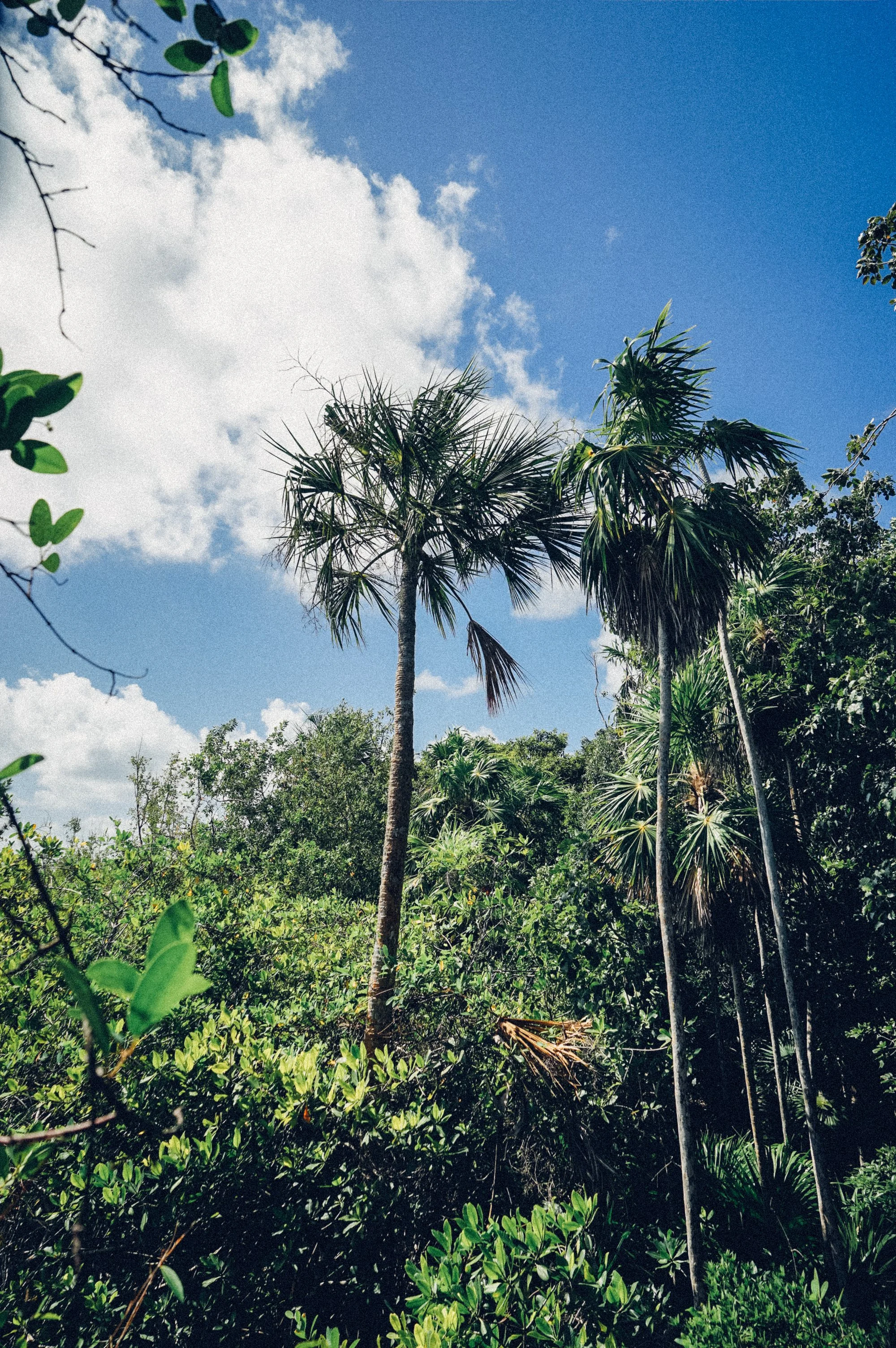 shannonlushan photography documentary family vacation mexico.jpg