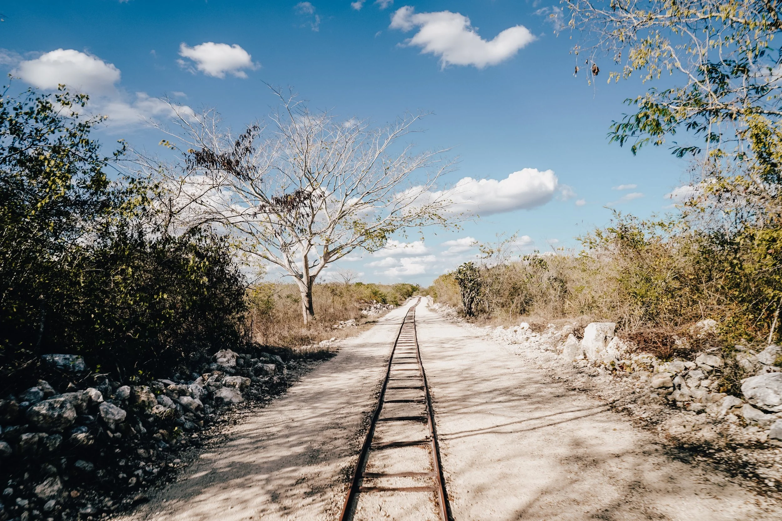 shannonlushan lifestyle photography documentary family vacation mexico.jpg