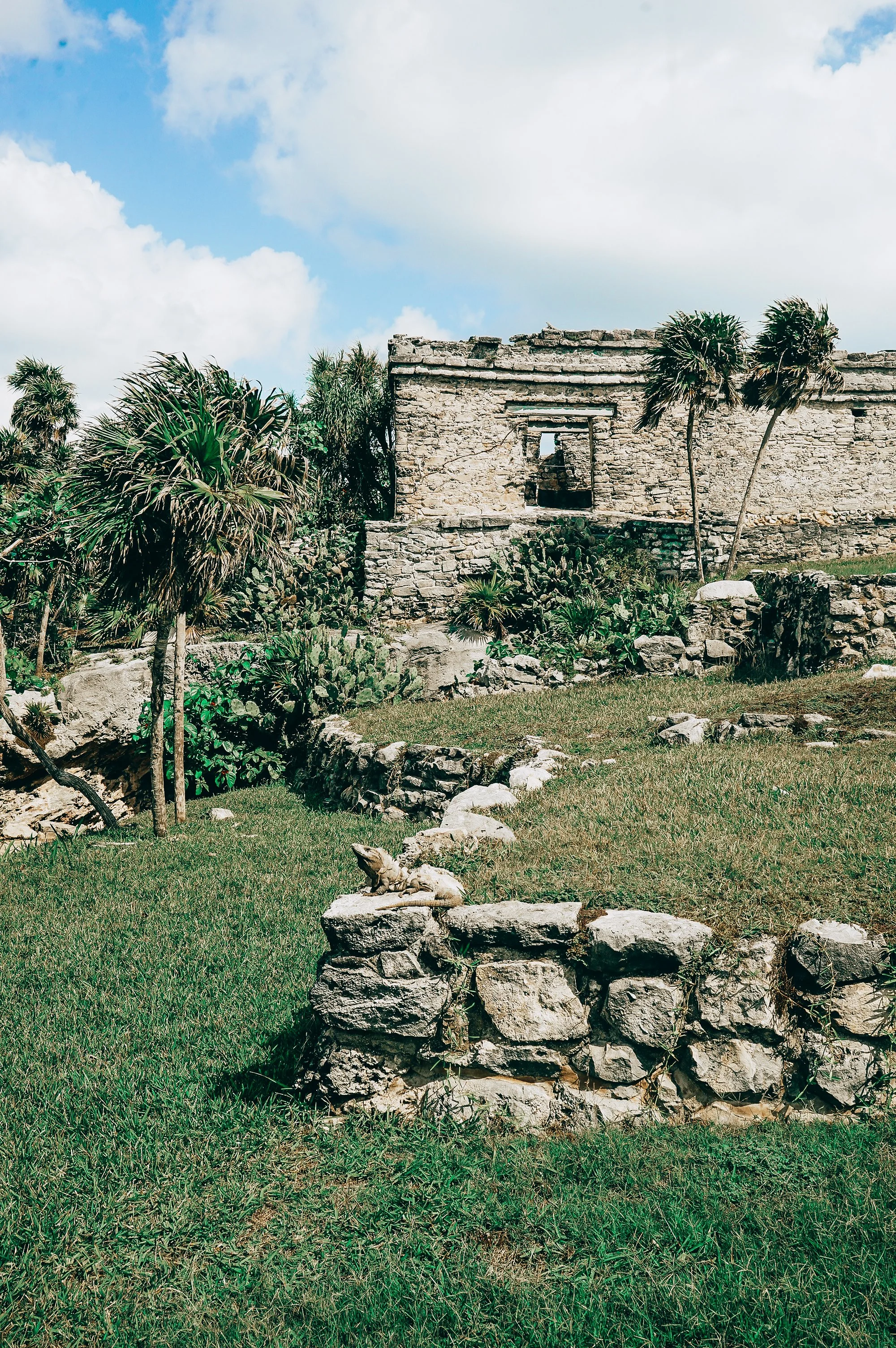 shannonlushan lifestyle photography documentary family vacation mexico.jpg