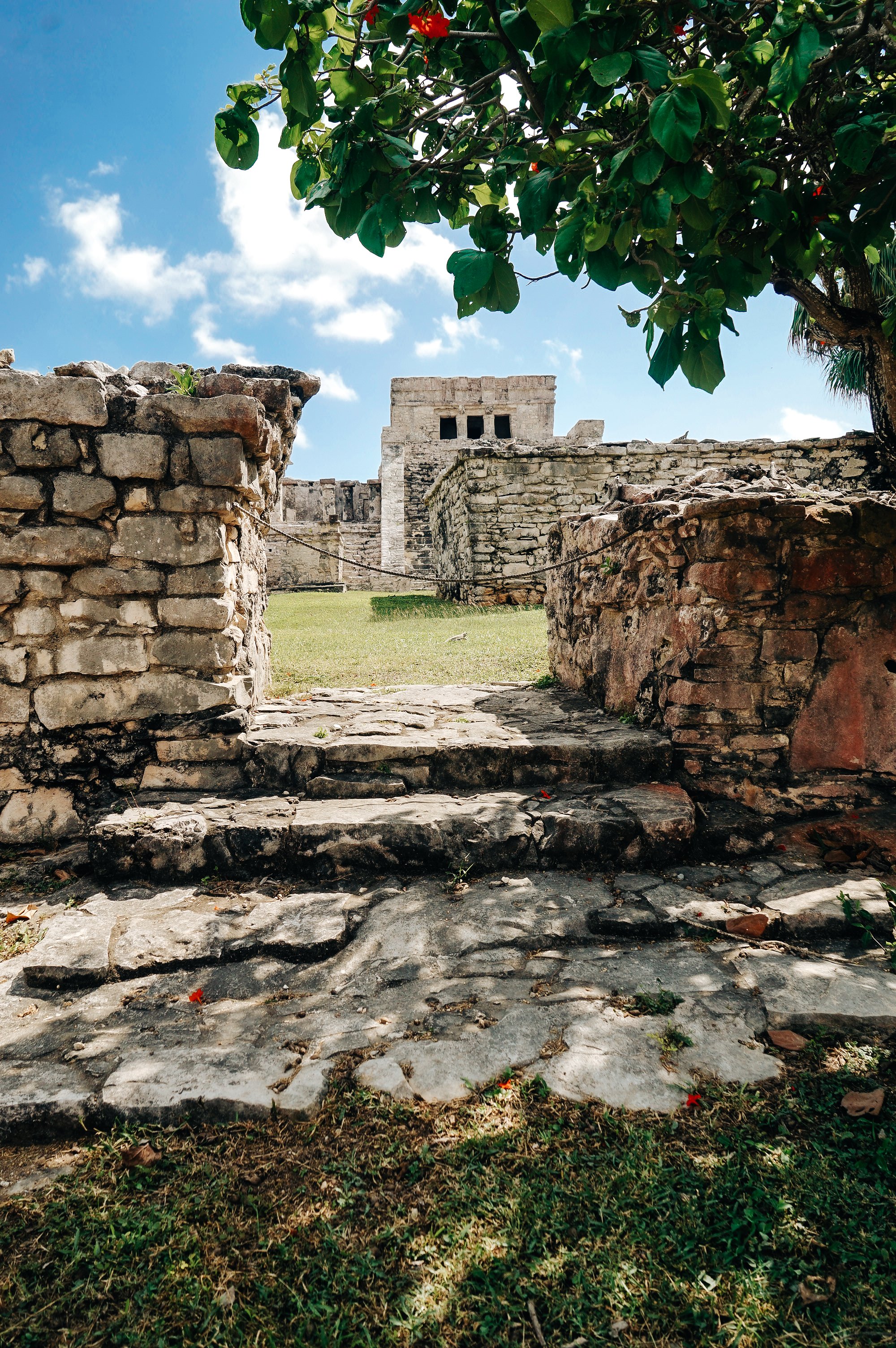 shannonlushan lifestyle photography documentary family vacation mexico.jpg