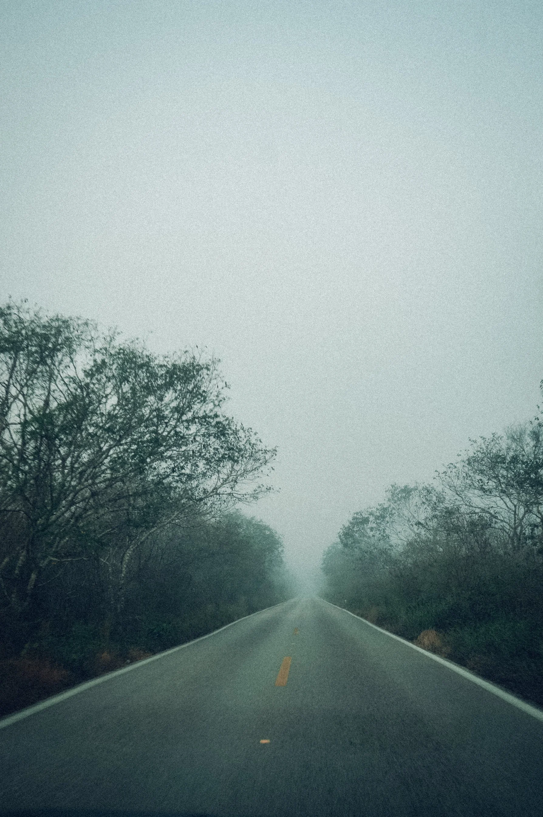 shannonlushan photography documentary family vacation mexico.jpg