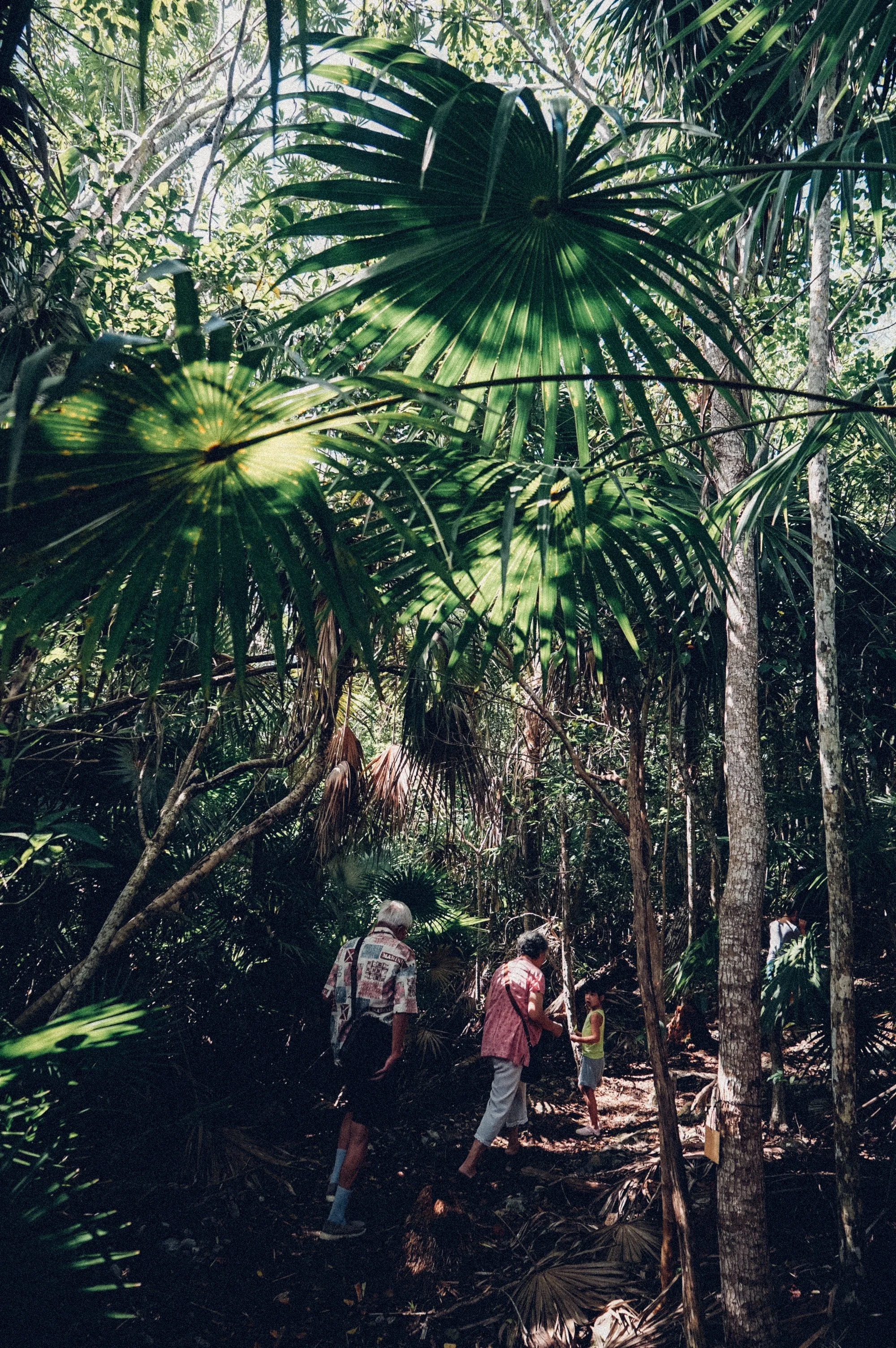 shannonlushan photography documentary family vacation mexico.jpg