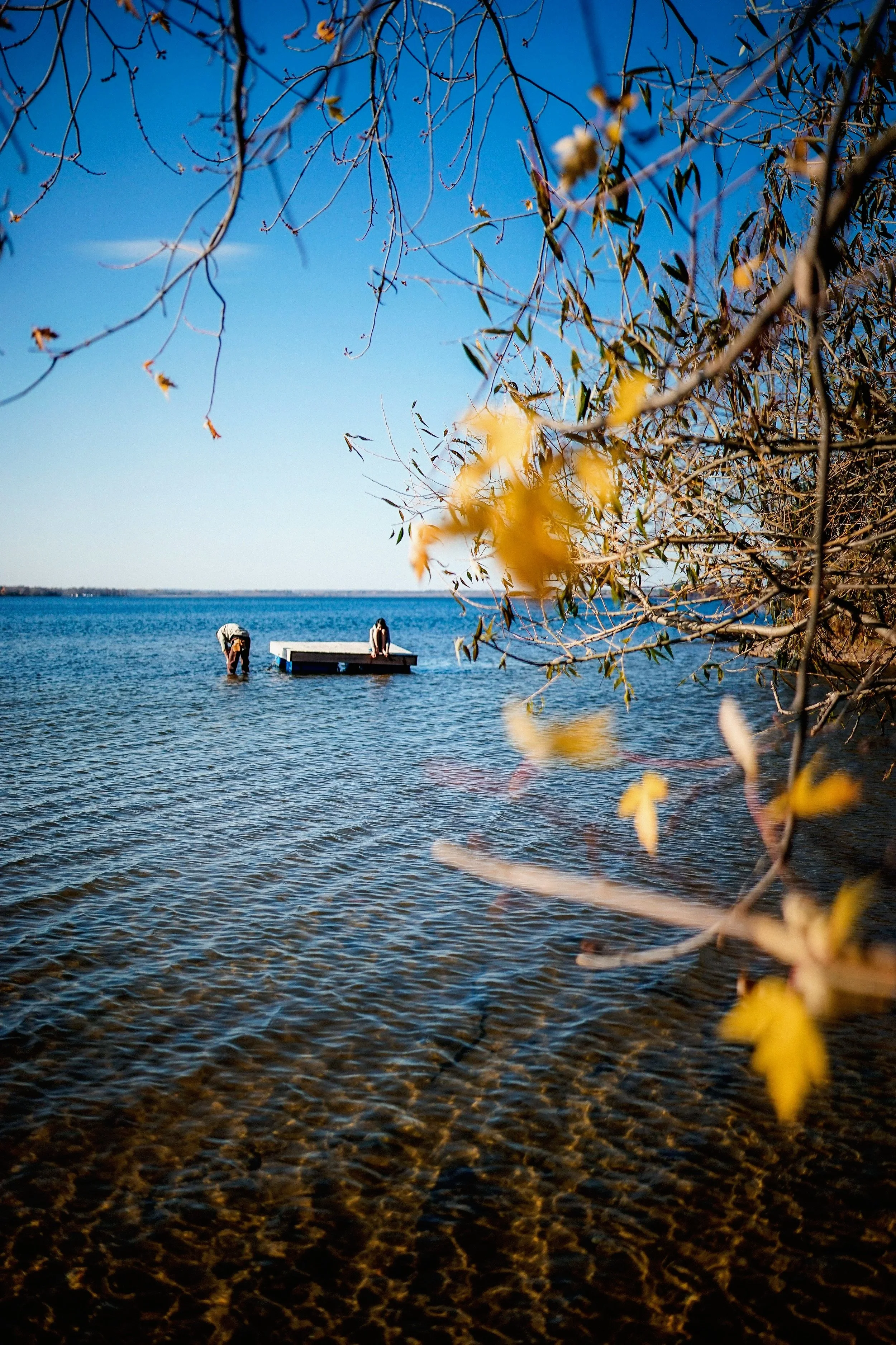 shannonlushan photography lakeside autummn