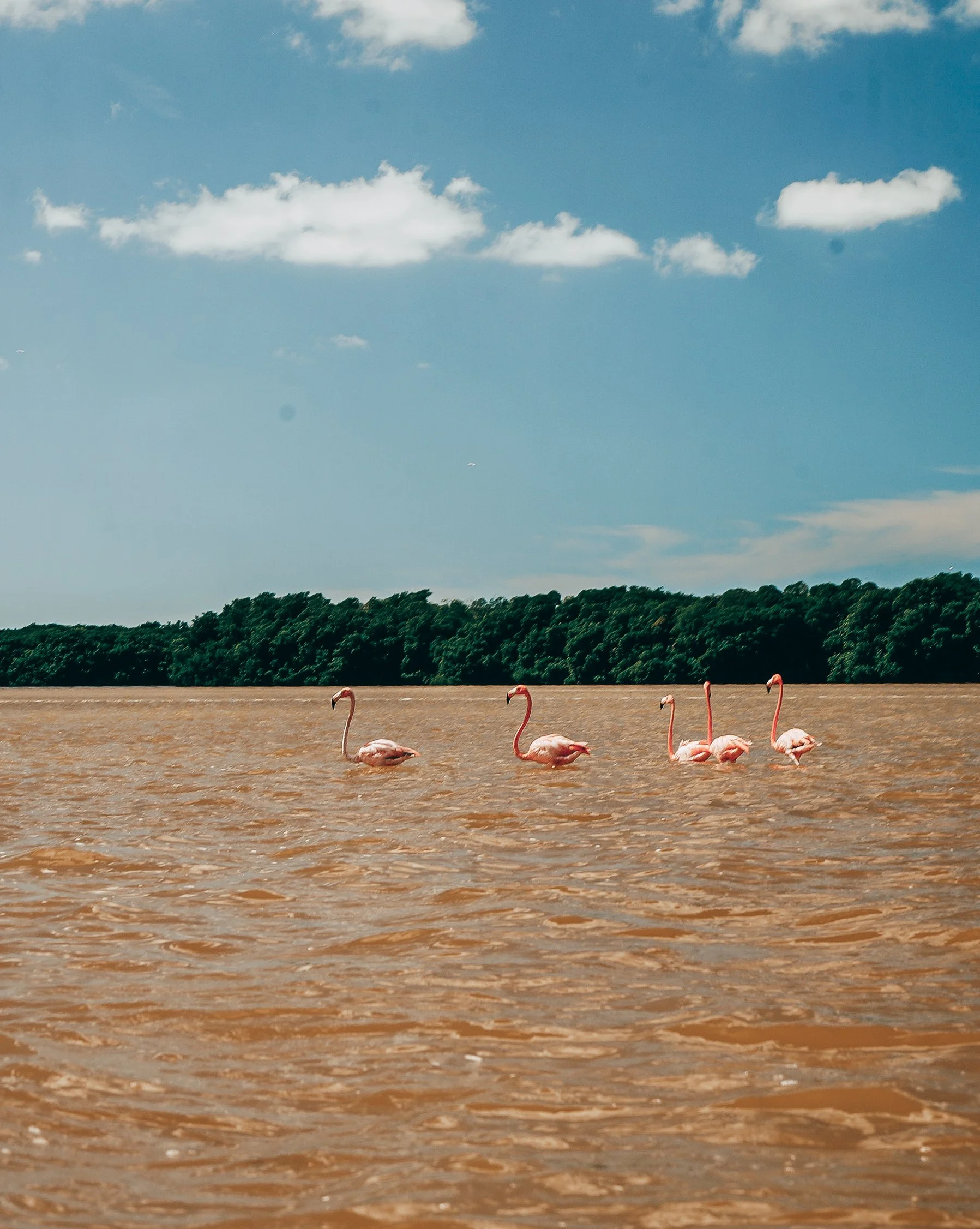 shannonlushan lifestyle photography documentary family vacation mexico.jpg