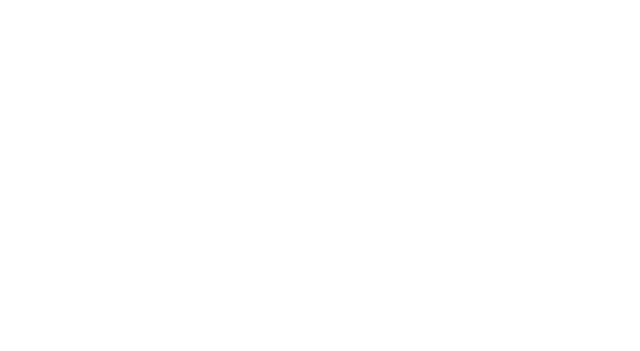 ipfri-04.png