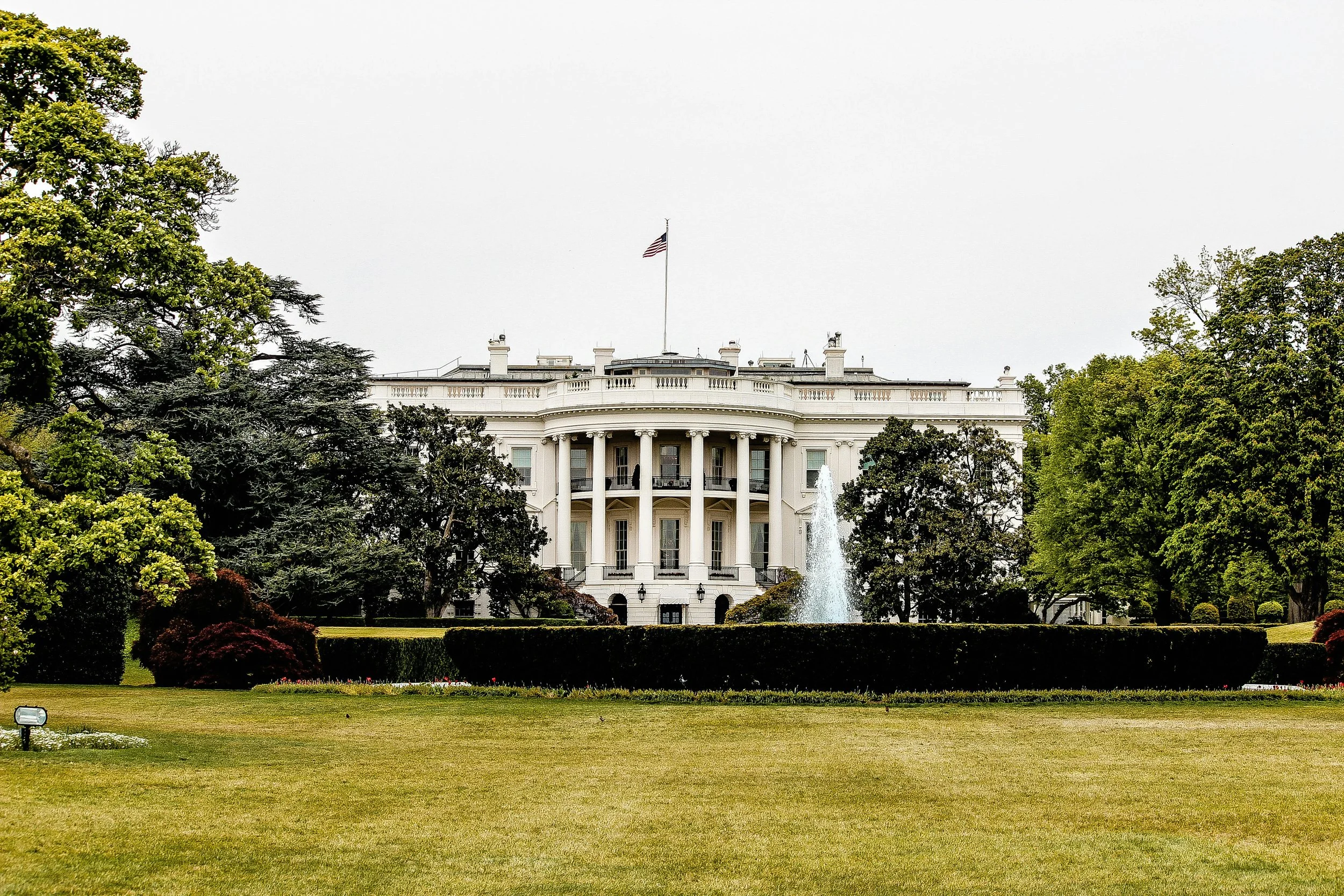 No, Mr. President