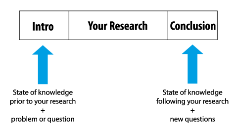 how to state a conclusion