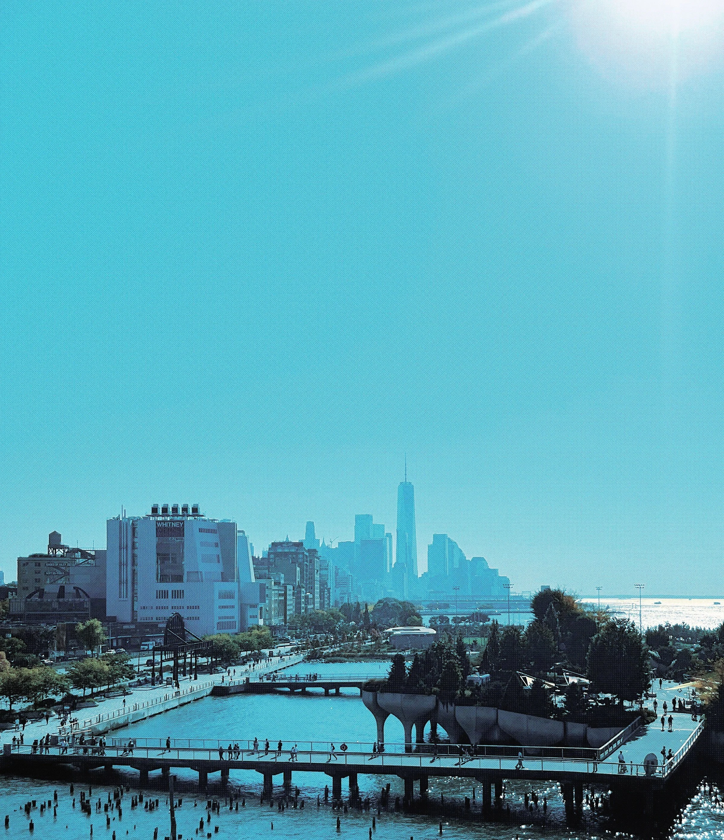 NYC & the death drive