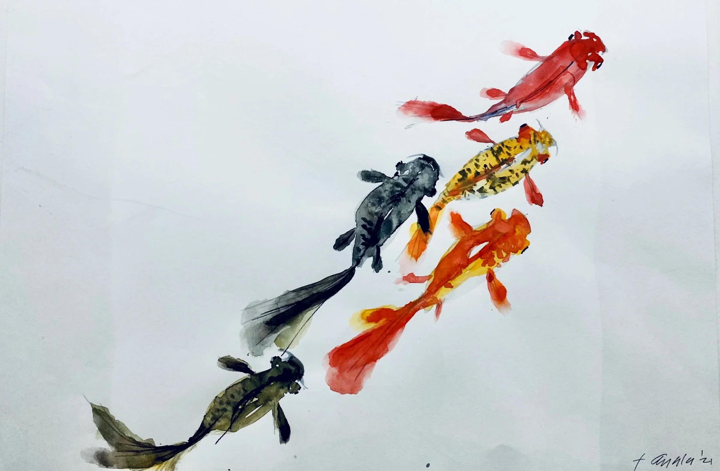 FAS11X14_KOI_2.jpg