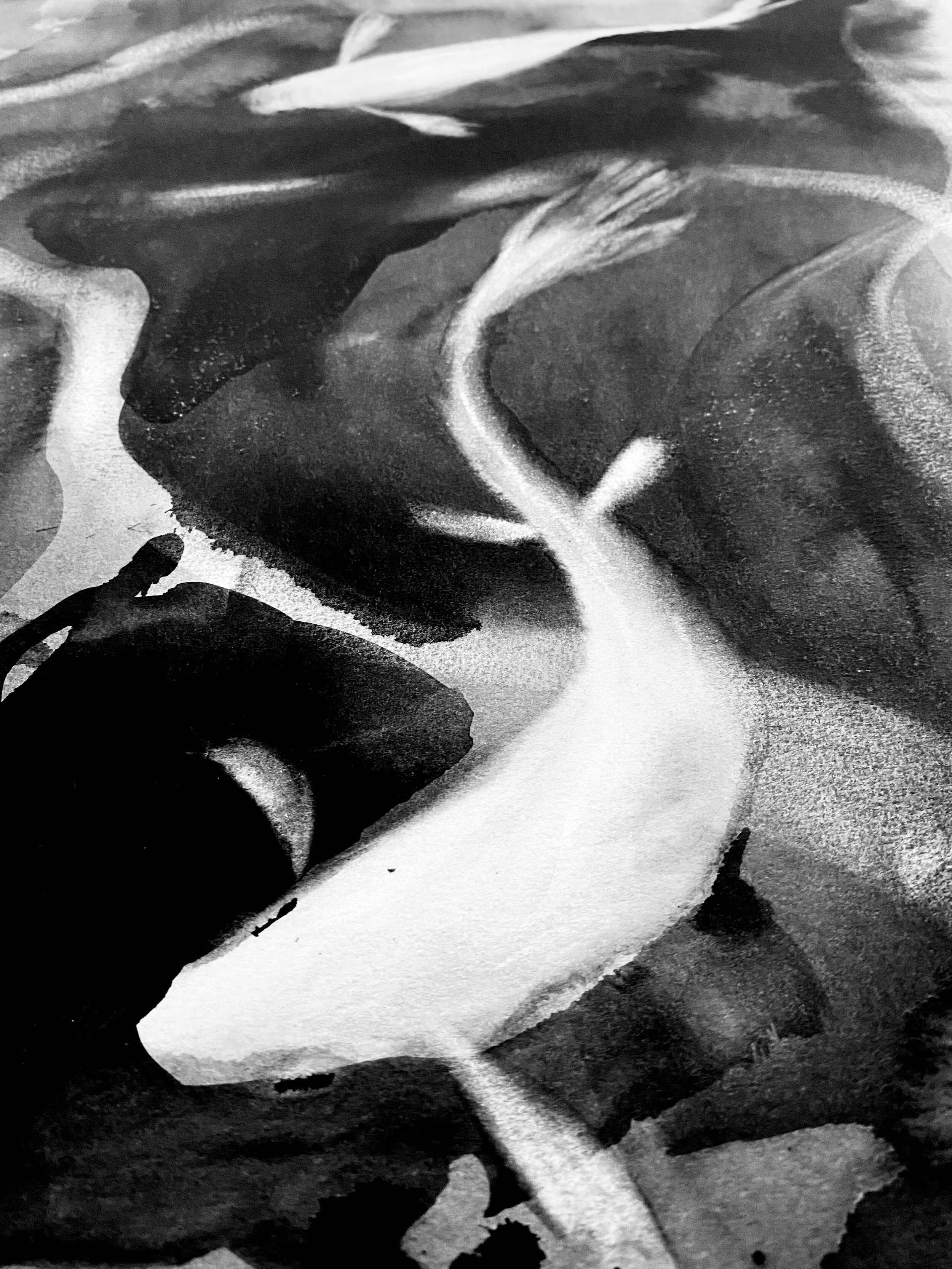 FAS18X24GHOST_KOI_DUO_DETAIL.jpeg