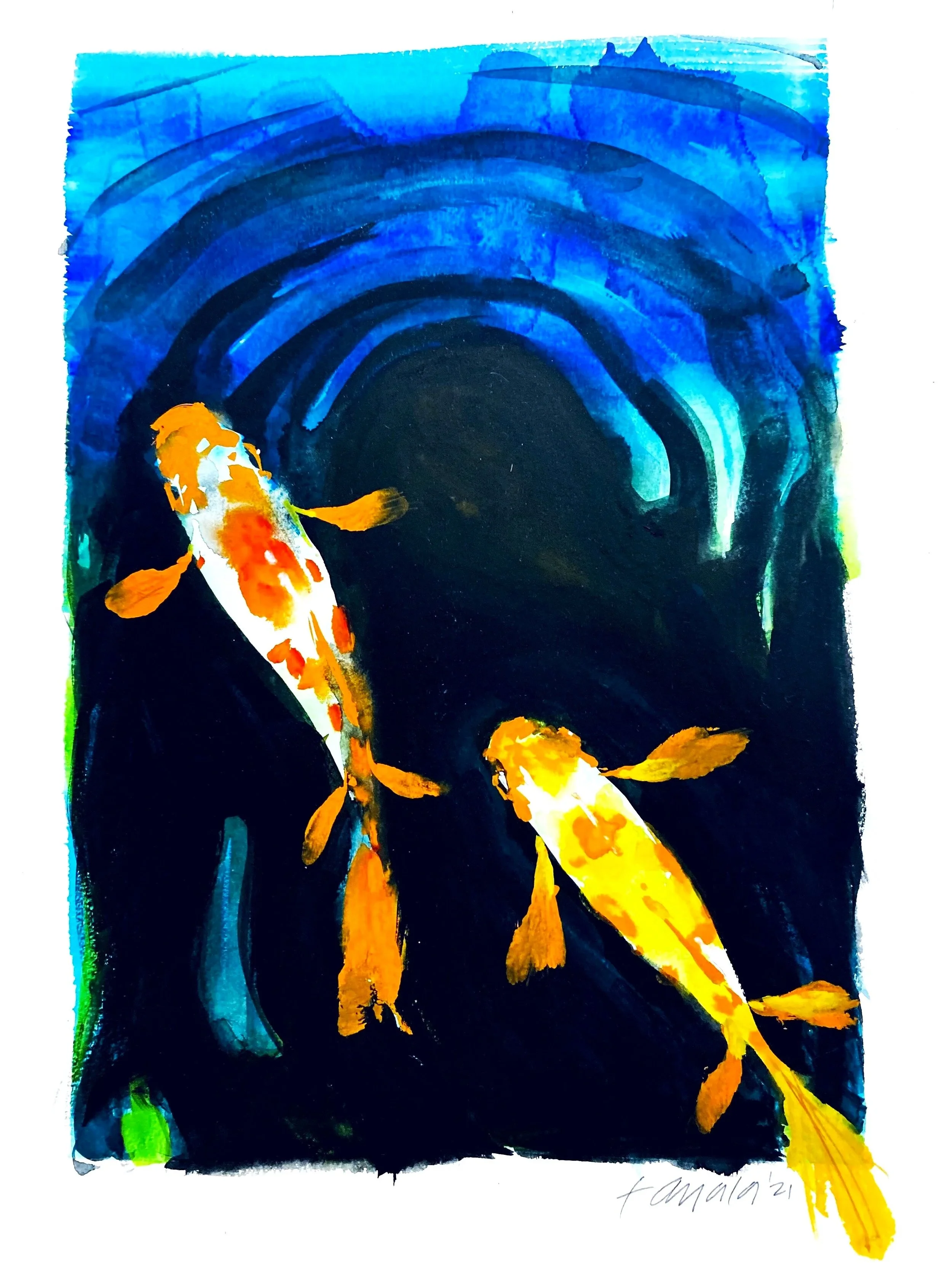 FAS12X18-KOI_REFLECT.jpg